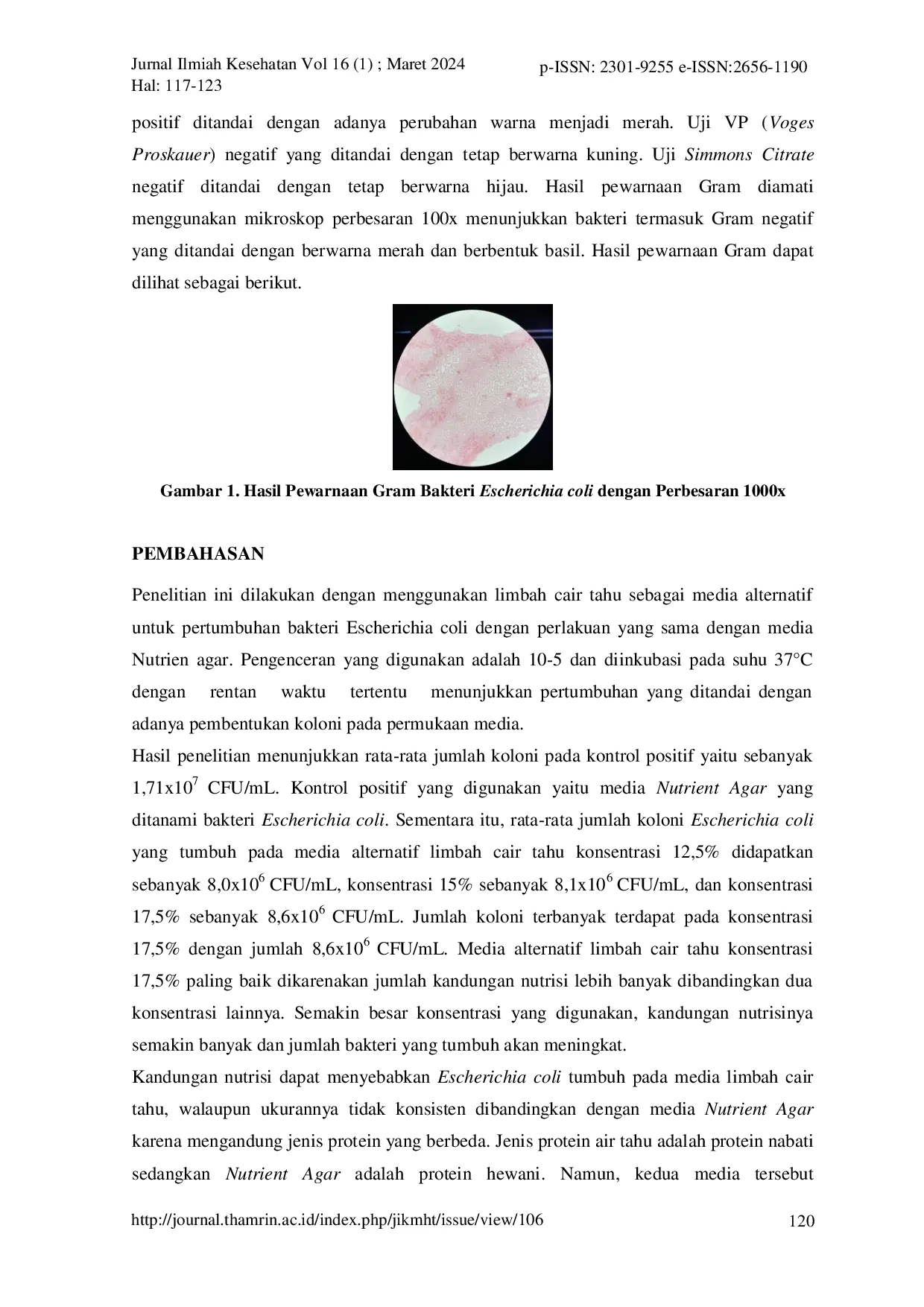 JURIS PEMANFAATAN LIMBAH CAIR TAHU SEBAGAI MEDIA ALTERNATIF PERTUMBUHAN BAKTERI Escherichia coli