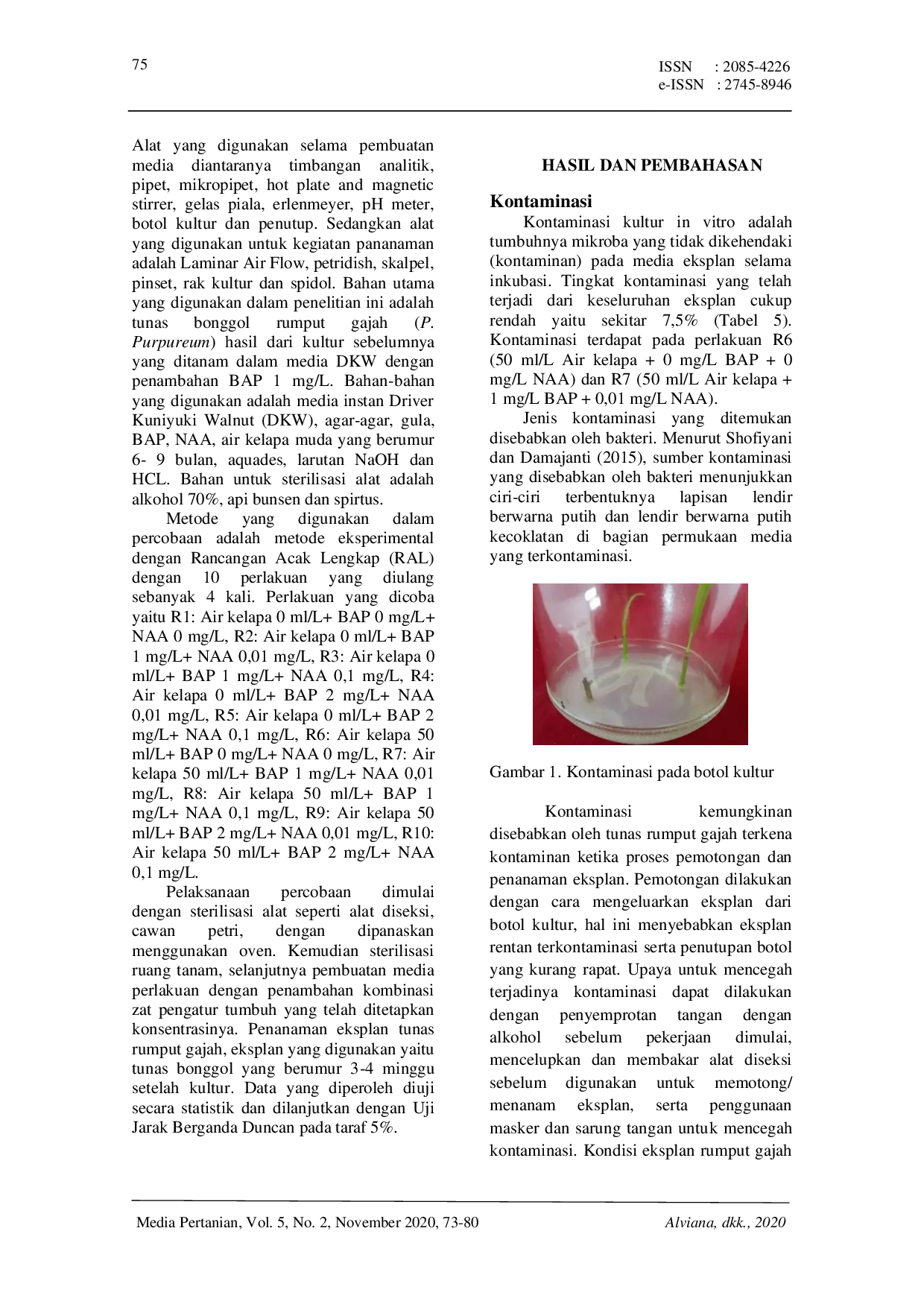 JURIS Pengaruh Kombinasi Zat Pengatur Tumbuh Air Kelapa BAP dan NAA Pada Media DKW Terhadap Pertumbuhan Eksplan Rumput Gajah Pennisetum purpureum Schumach Secara In Vitro