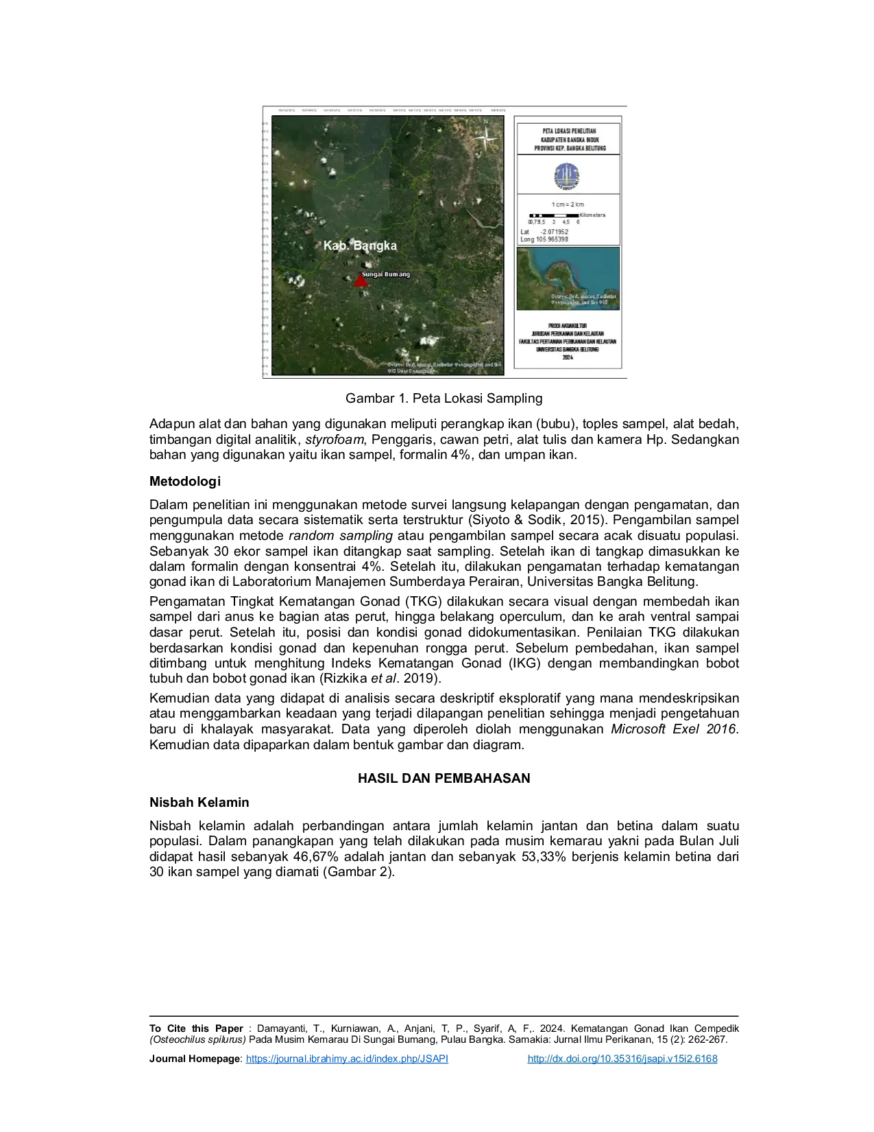 JURIS Kematangan Gonad Ikan Cempedik Osteochilus spilurus Pada Musim Kemarau Di Sungai Bumang Pulau Bangka