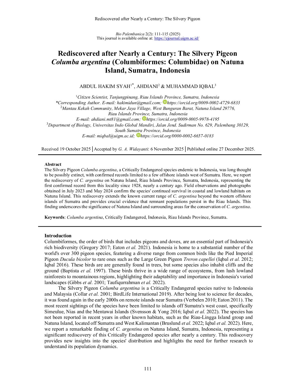 JURIS Rediscovered after Nearly a Century The Silvery Pigeon Columba argentina Columbiformes Columbidae on Natuna Island Sumatra Indonesia