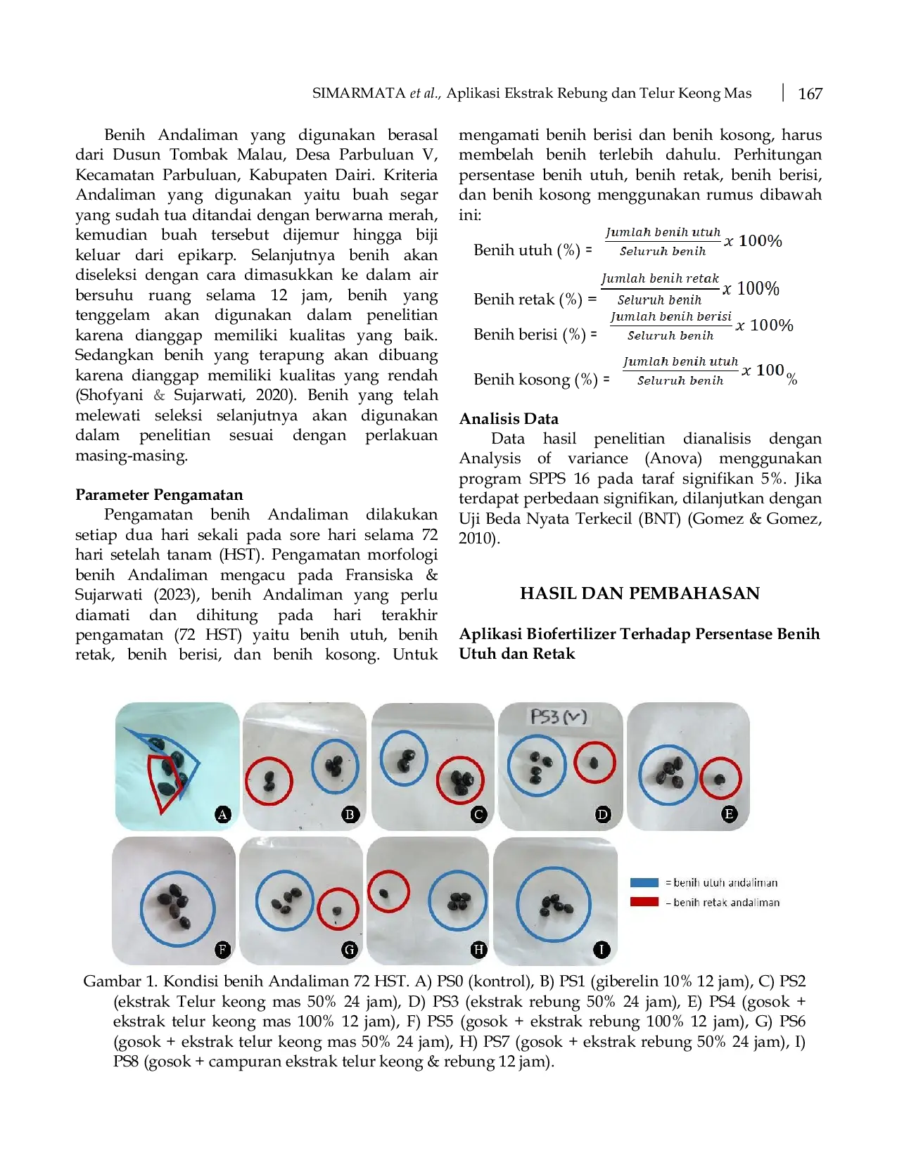 JURIS Aplikasi Ekstrak Rebung Gigantochloa apus dan Telur Keong Mas Pomacea canaliculata Sebagai Biofertilizer Terhadap Pematahan Dormansi Benih Andaliman Zanthoxylum acanthopodium