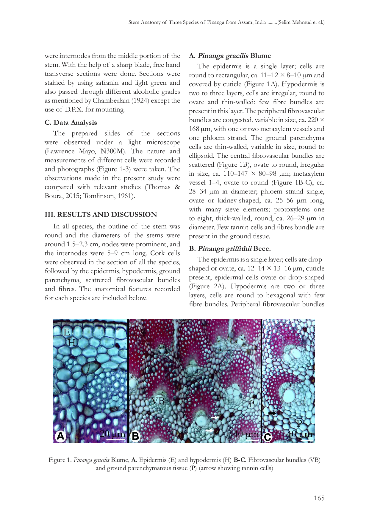JURIS Stem Anatomy Of Three Species Of Pinanga From Assam India