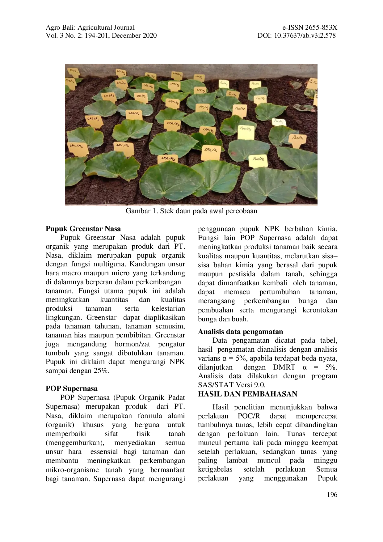 JURIS PENGARUH JENIS PUPUK CAIR DAN CARA PERLAKUAN TERHADAP PERTUMBUHAN STEK DAUN Begonia glabra Aubl