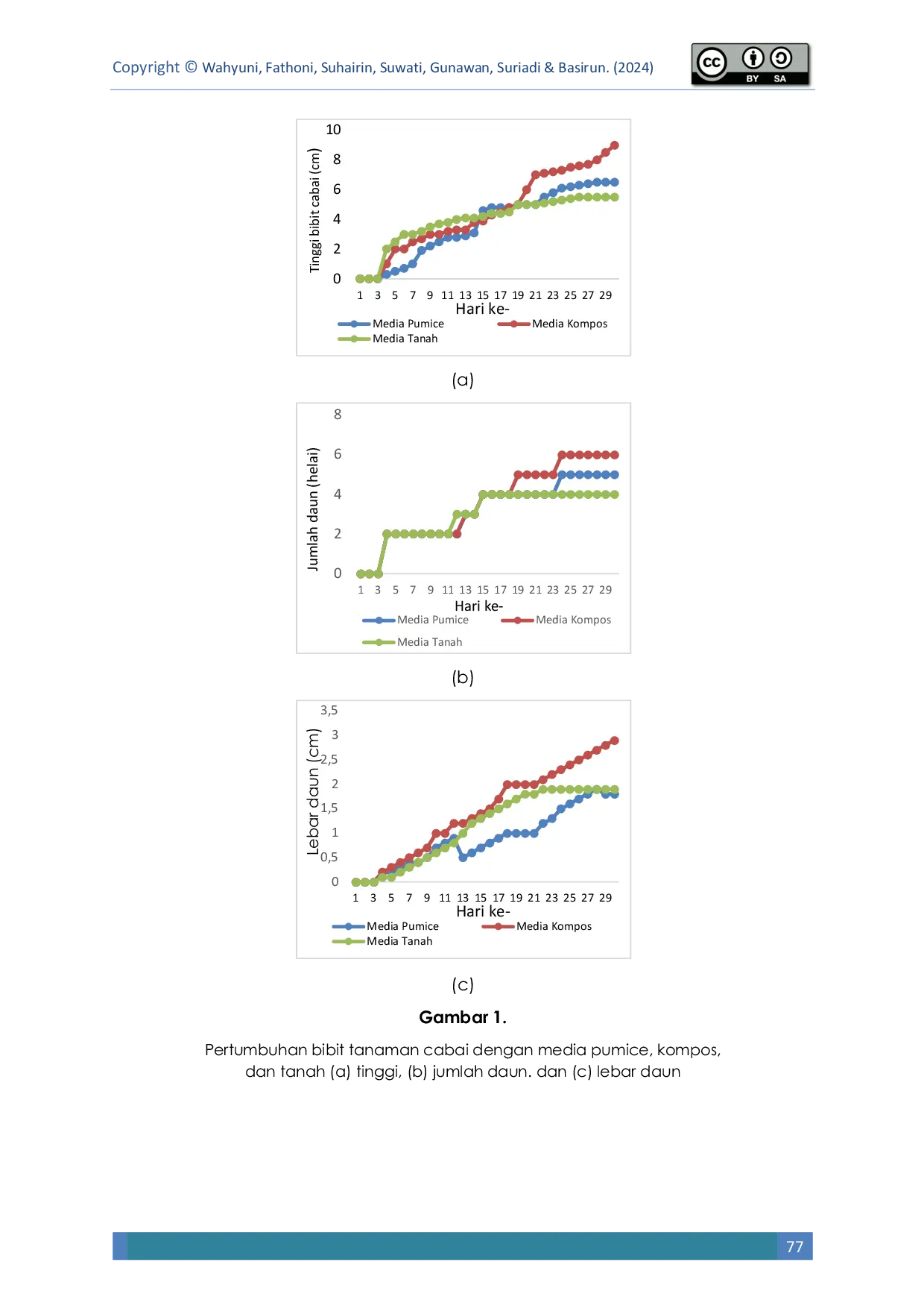JURIS Analysis of growth and wilting point of chili Capsicum annum L seedlings using three types of planting media