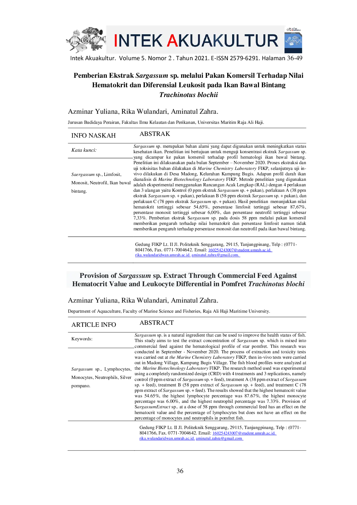 JURIS Pemberian Ekstrak Sargassum sp melalui Pakan Komersil Terhadap Nilai Hematokrit dan Diferensial Leukosit pada Ikan Bawal Bintang Trachinotus blochii
