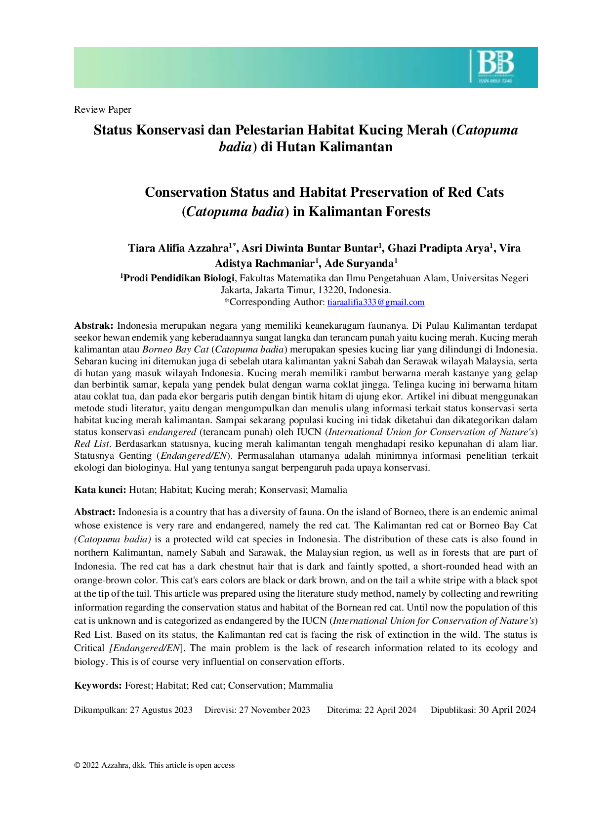 JURIS Conservation Status and Habitat Preservation of Red Cats Catopuma badia in Kalimantan Forests