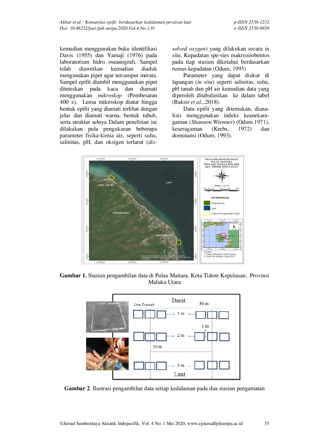 JURIS Epiphytic Community Base Depth of the Sea on Seagrass Leaves in Maitara Island North Maluku Province