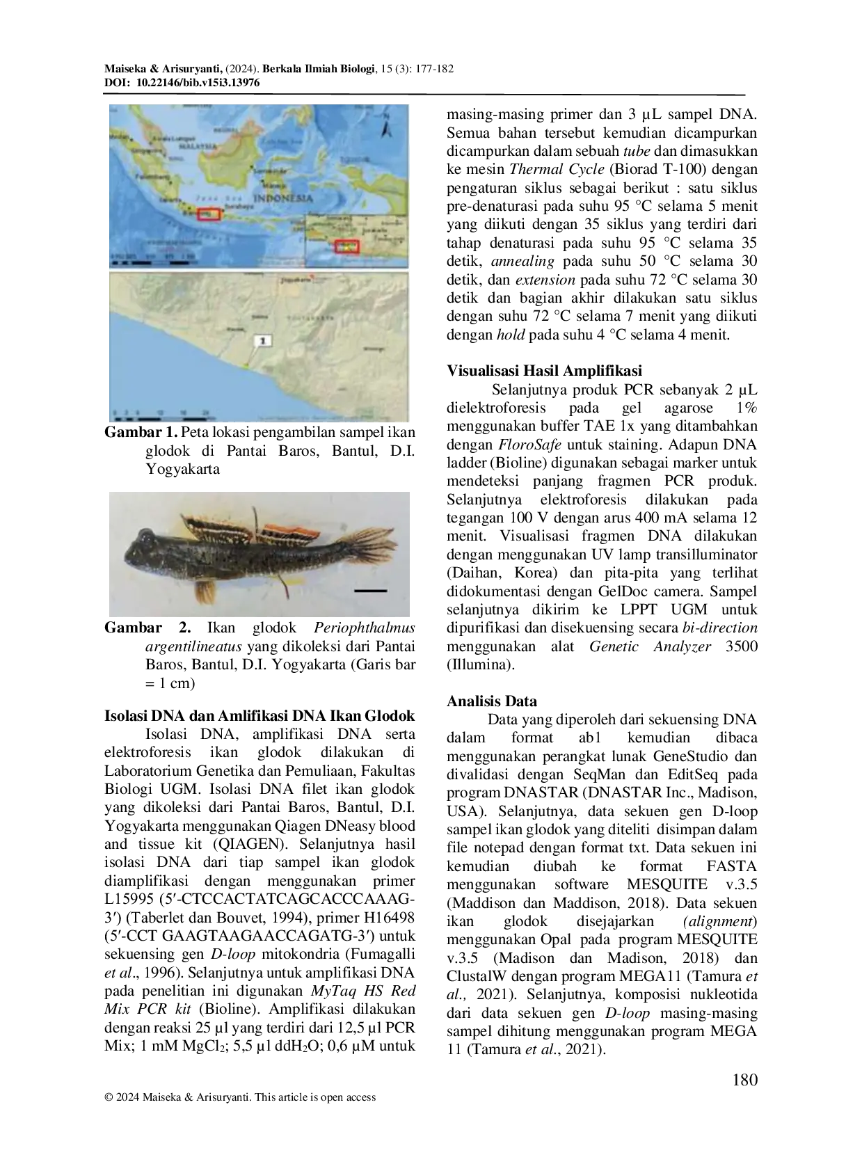 JURIS KOMPOSISI NUKLEOTIDA GEN MITOKONDRIA D LOOP IKAN GLODOK Periophthalmus argentilineatus Valenciennes 1837 DARI PANTAI BAROS BANTUL D I YOGYAKARTA