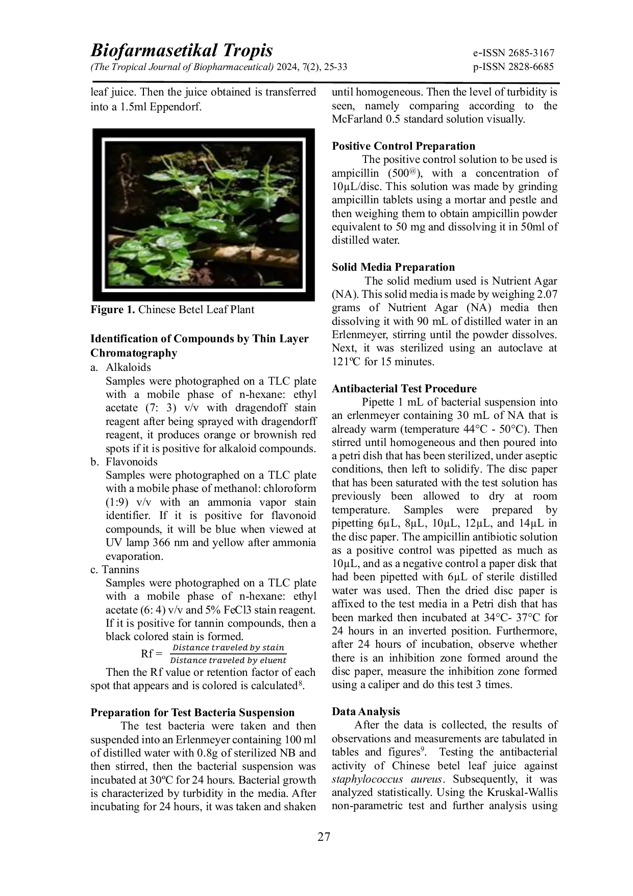 JURIS Antibacterial Activity Of Staphylococcus aureus From Chinese Betel Leaf Juice Peperomia pellucida L