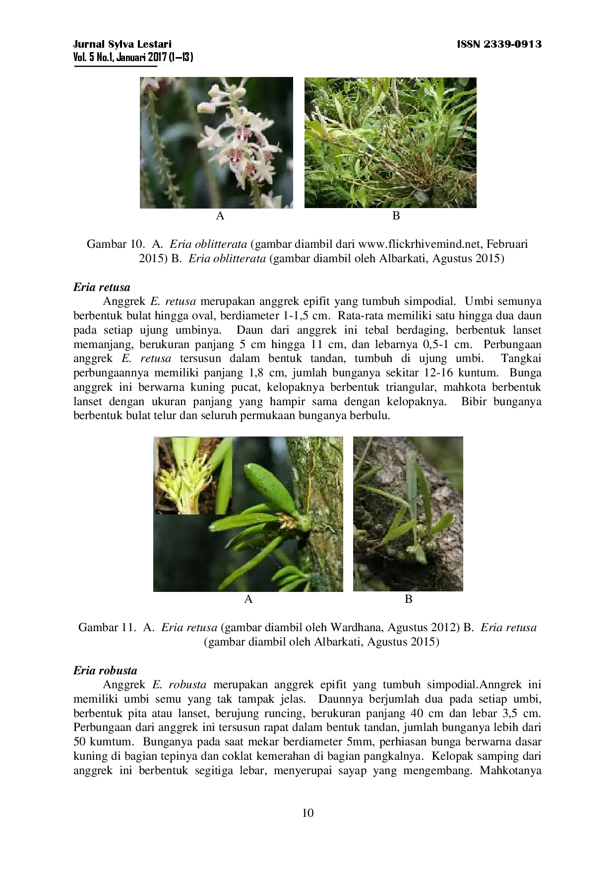 juris Kondisi Populasi Dan Pola Penyebaran Anggrek Eria Spp Di Resort Balik Bukit Taman Nasional Bukit Barisan Selatan