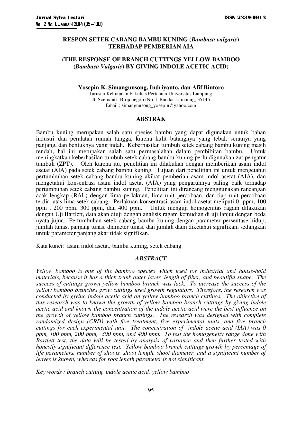 juris Respon Setek Cabang Bambu Kuning Bambusa Vulgaris Terhadap Pemberian Aia