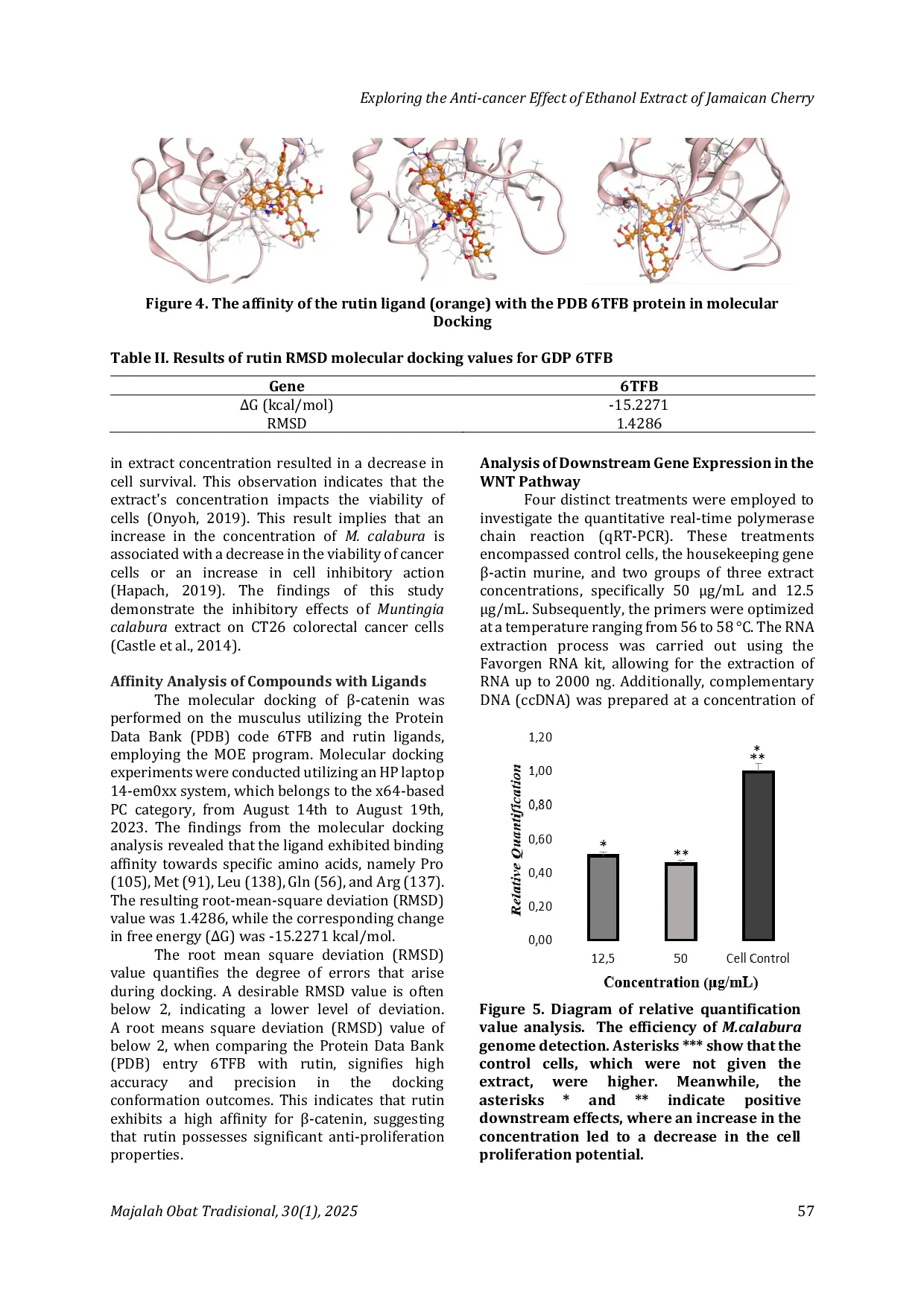 JURIS Exploring the Anti cancer Effect of Ethanol Extract of Jamaican Cherry Muntingia calabura L Leaves on CT26 Colorectal Cancer Cells through WNT Signaling
