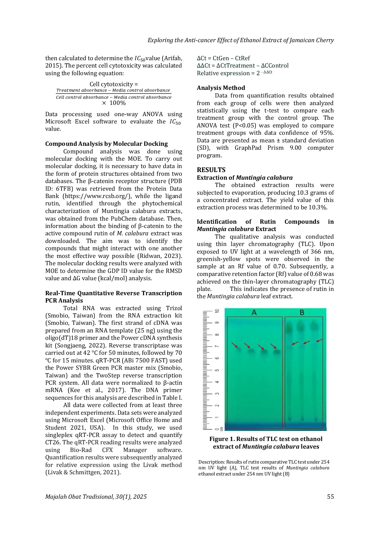 JURIS Exploring the Anti cancer Effect of Ethanol Extract of Jamaican Cherry Muntingia calabura L Leaves on CT26 Colorectal Cancer Cells through WNT Signaling