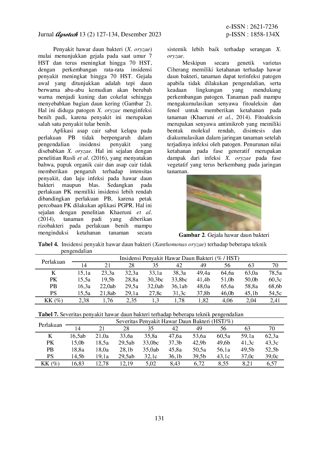 JURIS Intensitas Penyakit Tanaman Padi Oryza Sativa L Varietas Ciherang Pada Aplikasi Beberapa Teknik Pengendalian