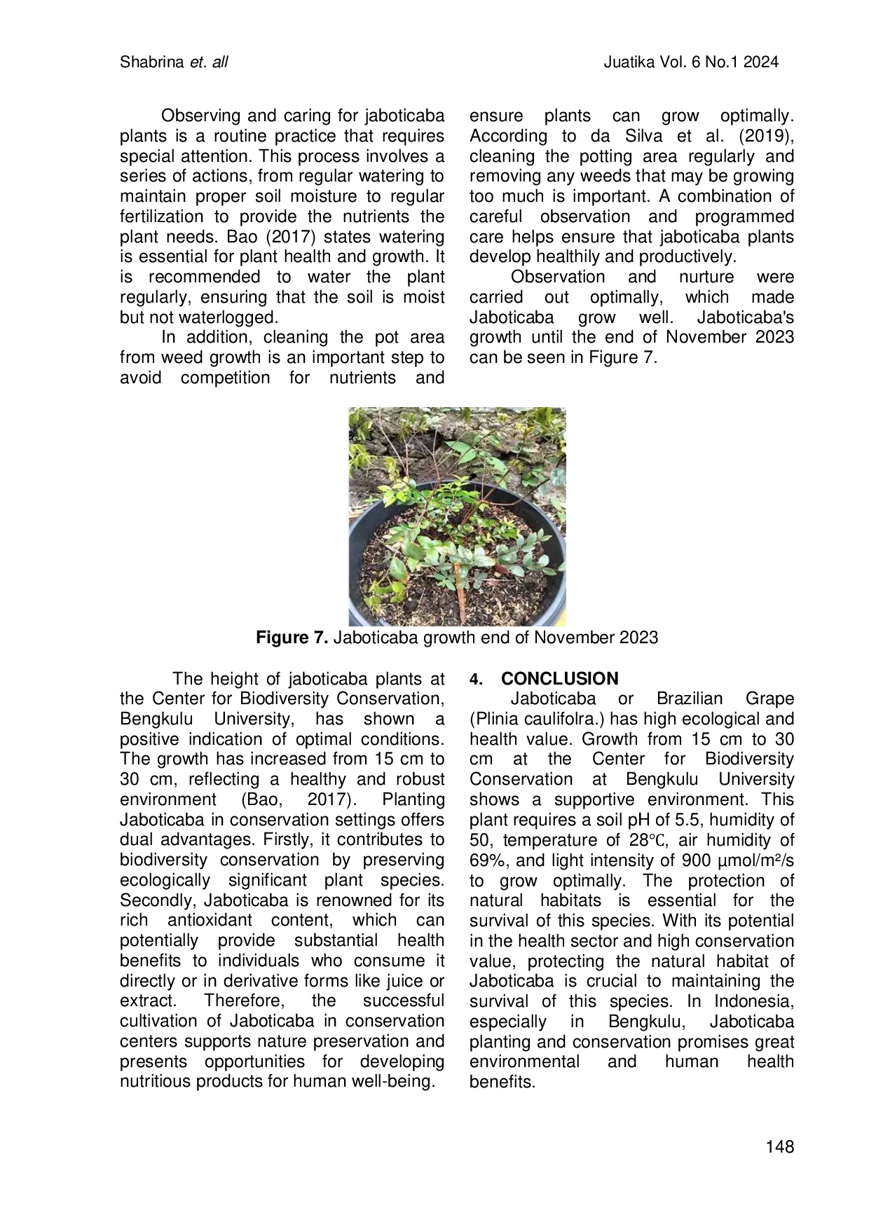 JURIS Exploration of Jaboticaba Plinia cauliflora Cultivation in Bengkulu Conservation in an Optimized Environment