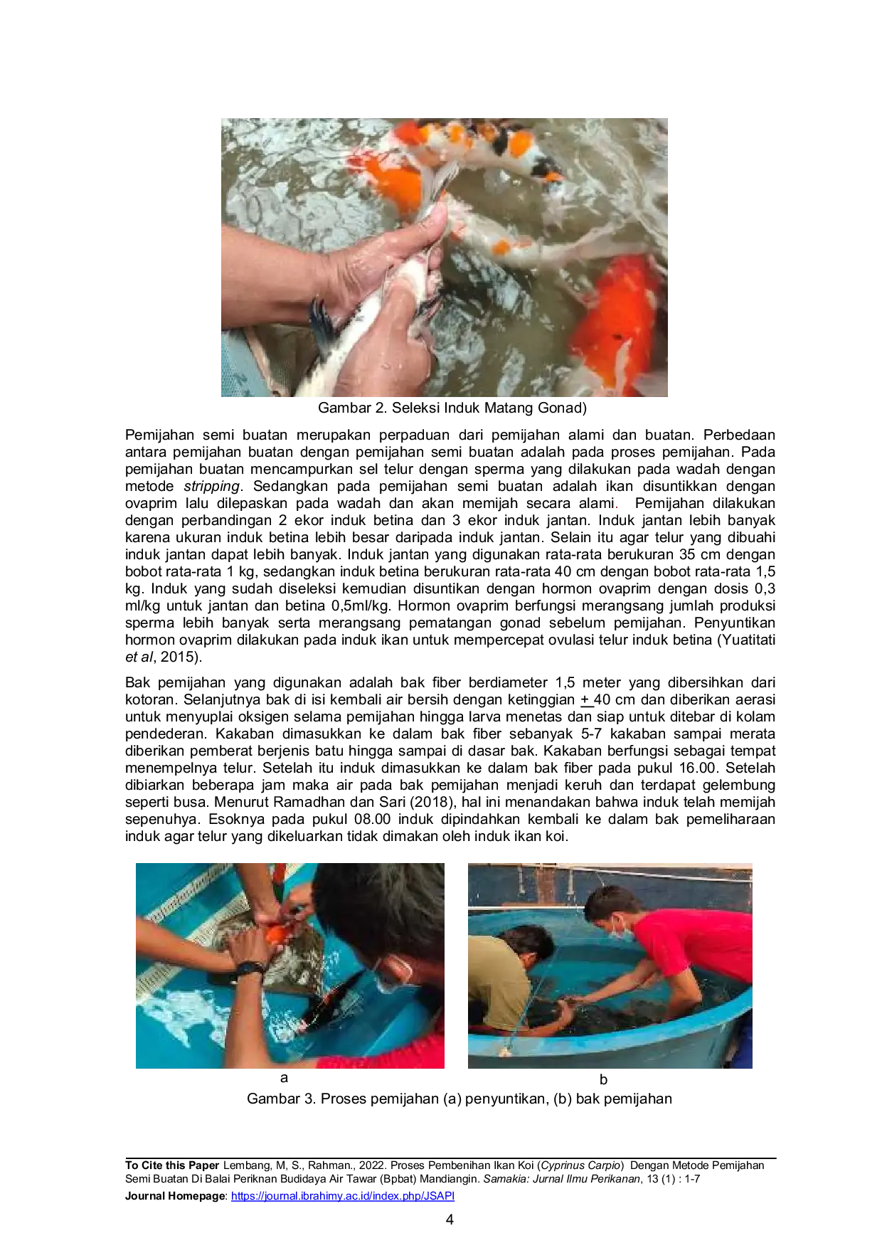 JURIS Proses Pembenihan Ikan Koi Cyprinus Carpio Dengan Metode Pemijahan Semi Buatan Di Balai Perikanan Budidaya Air Tawar Bpbat Mandiangin