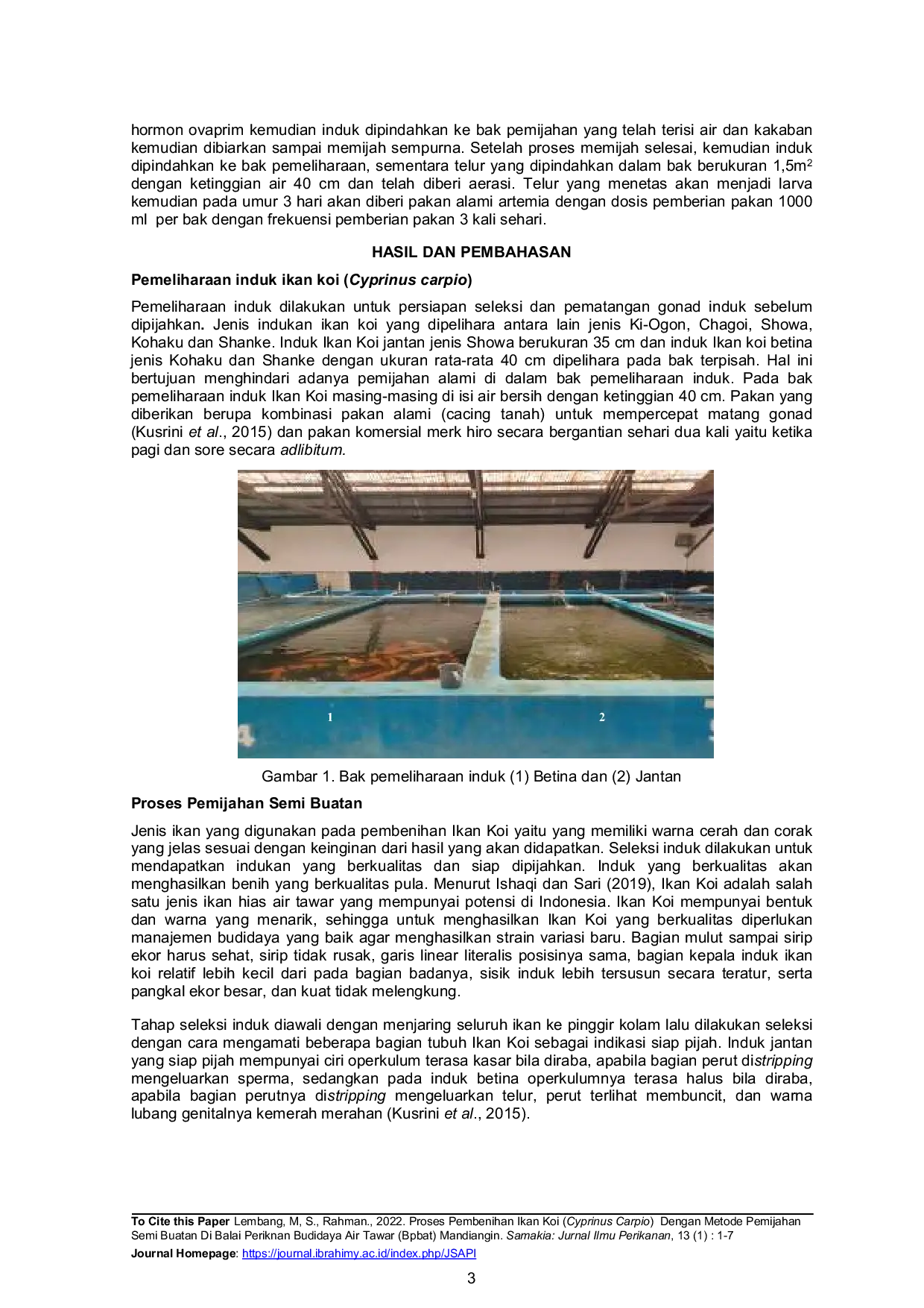 JURIS Proses Pembenihan Ikan Koi Cyprinus Carpio Dengan Metode Pemijahan Semi Buatan Di Balai Perikanan Budidaya Air Tawar Bpbat Mandiangin