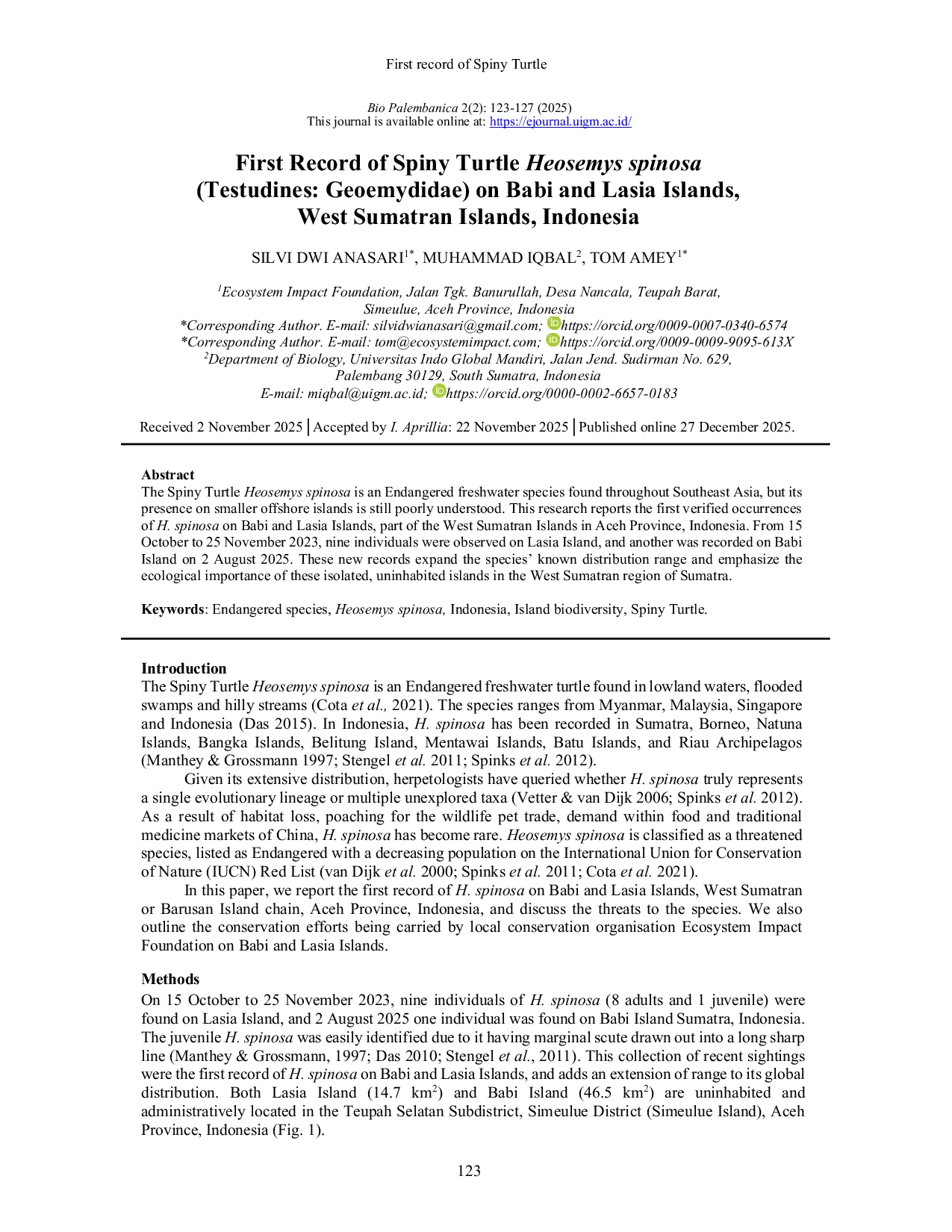 JURIS First record of Spiny Turtle Heosemys spinosa Gray 1831 Testudines Geoemydidae on Babi and Lasia Islands West Sumatran Islands Indonesia