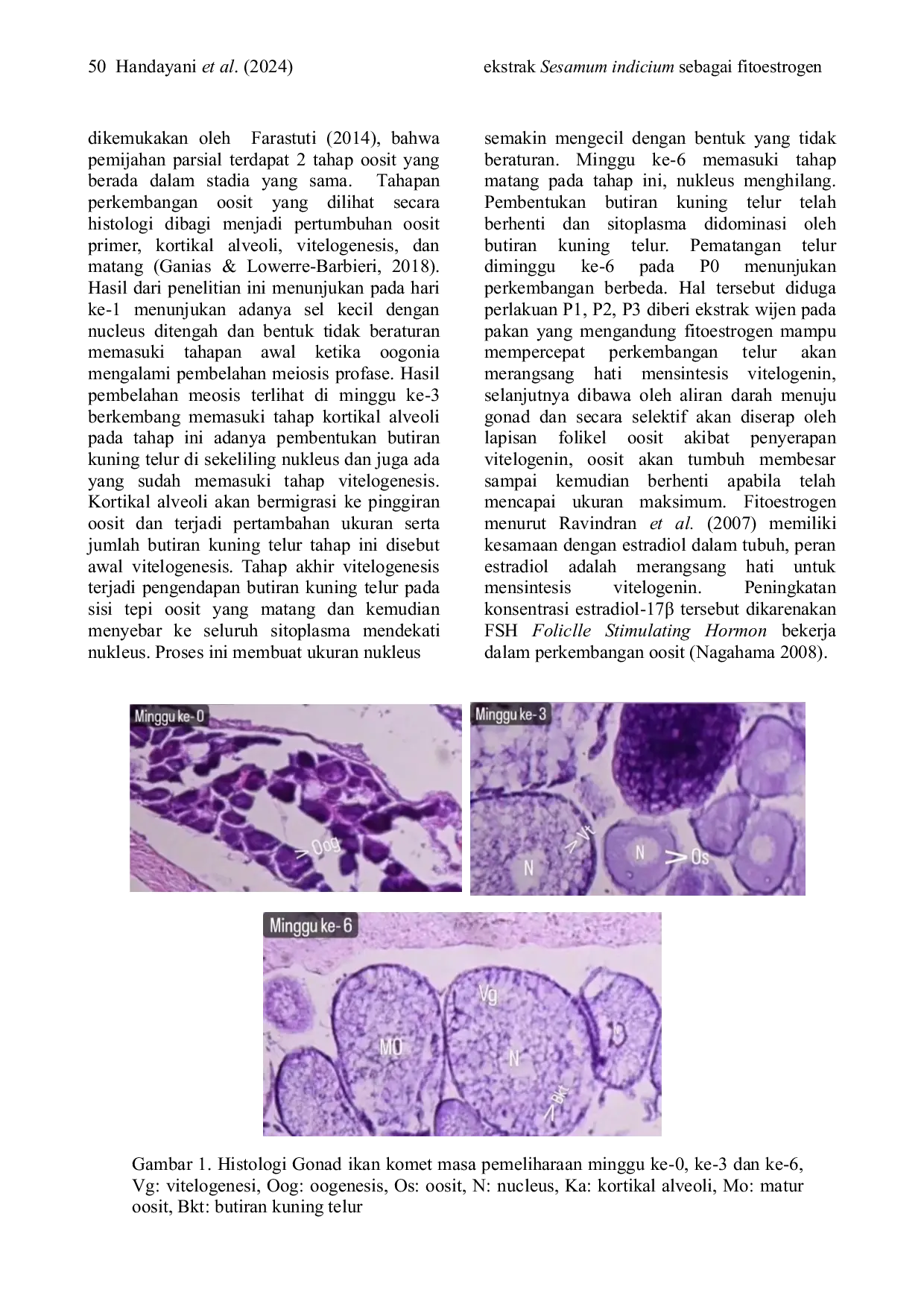 JURIS Induction of maturation of gold fish Carassius auratus using sesame seed extract Sesamum indicum L on feed as phytoestrogens