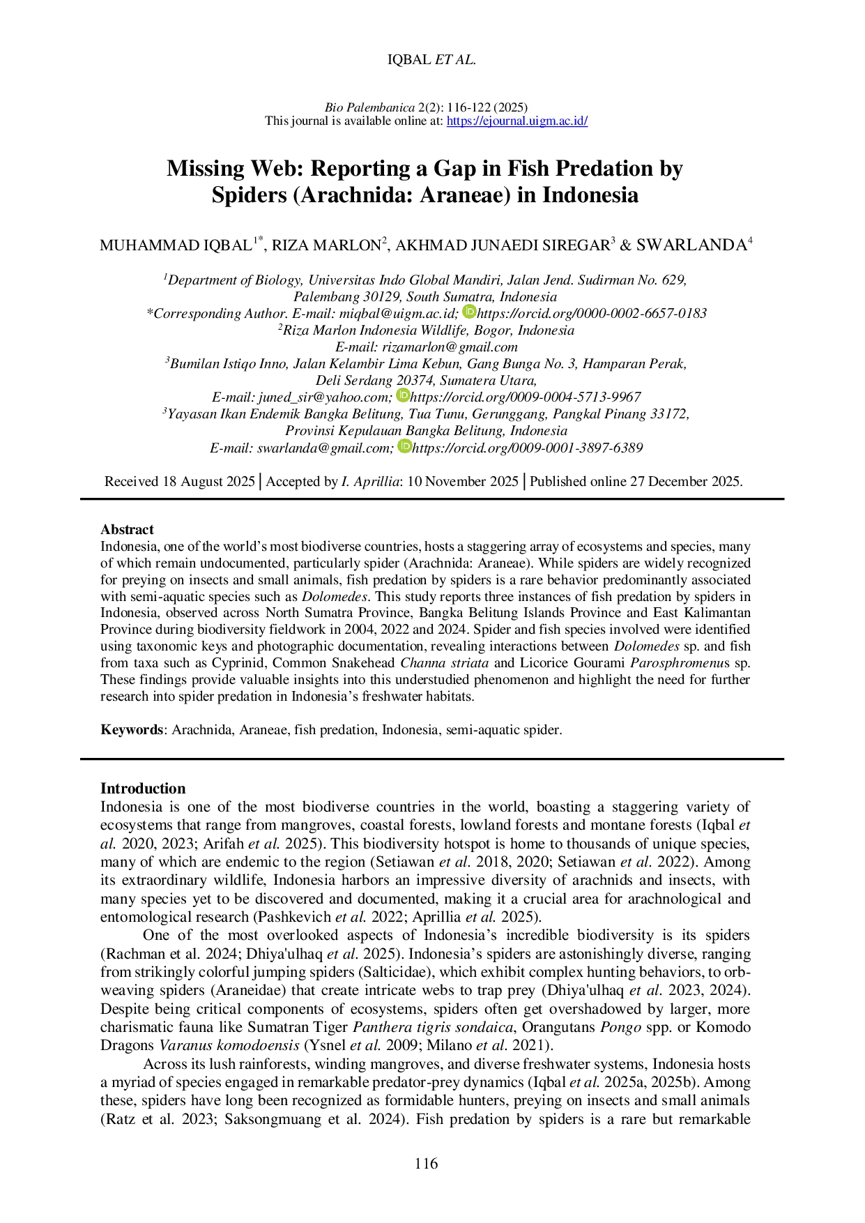 JURIS Missing Web Reporting a Gap in Fish Predation by Spiders Arachnida Araneae in Indonesia
