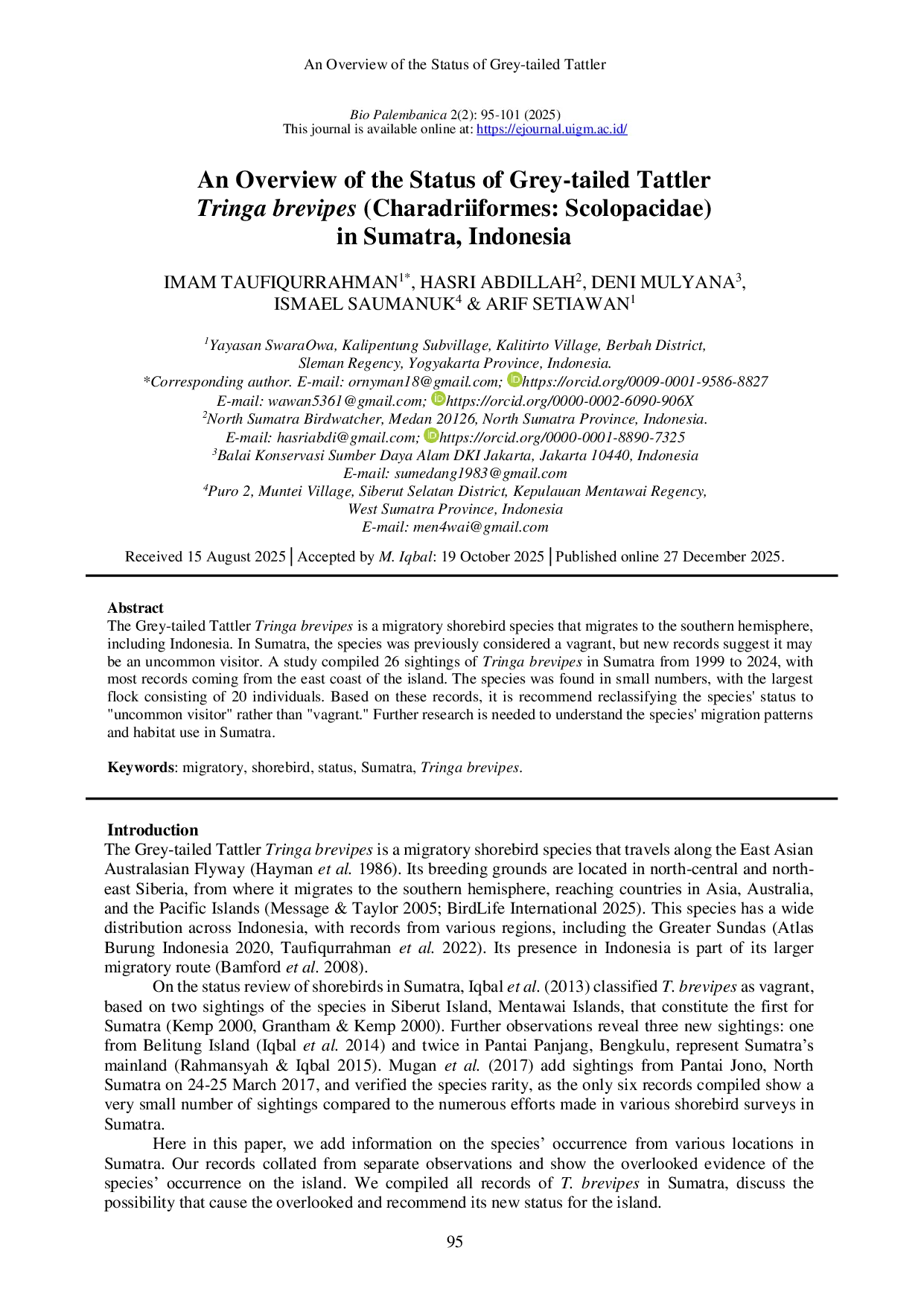 JURIS An Overview of the Status of Grey tailed Tattler Tringa brevipes Charadriiformes Scolopacidae in Sumatra Indonesia