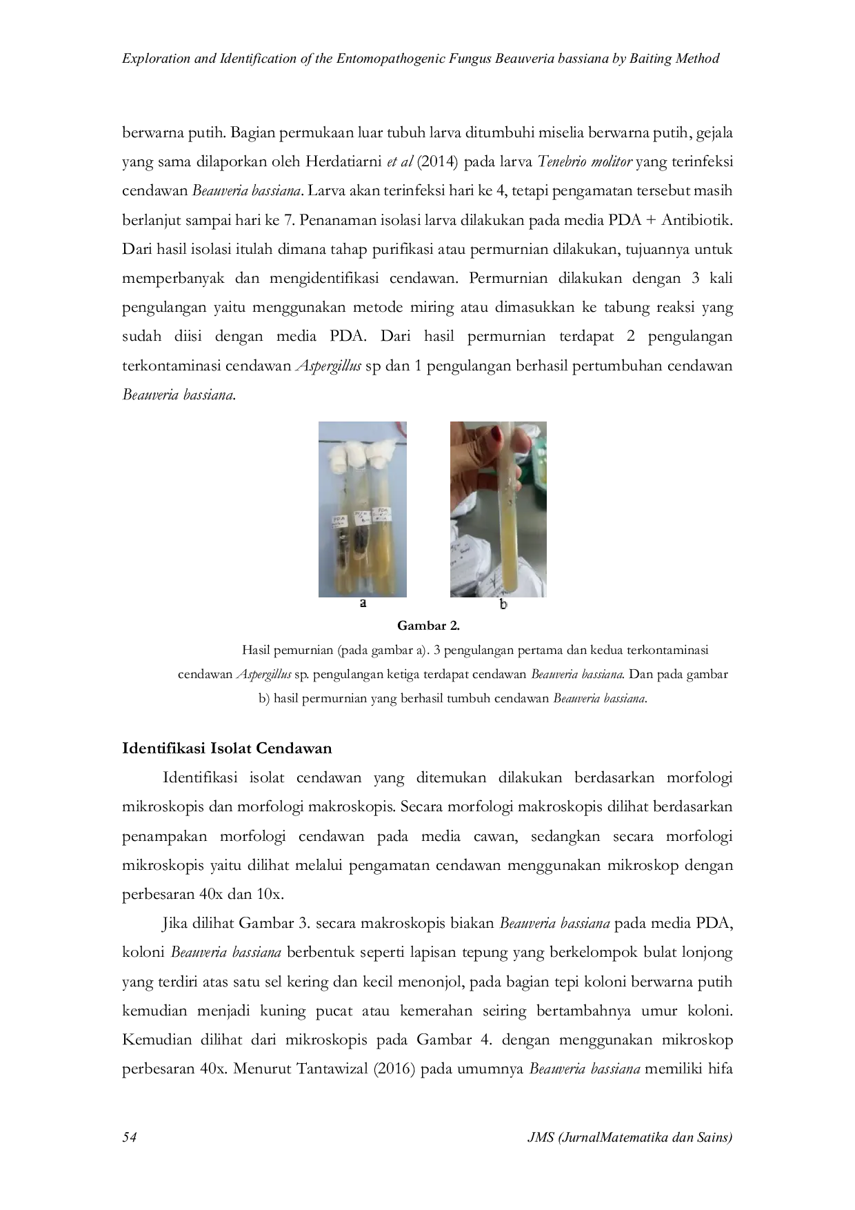 JURIS EXPLORATION AND IDENTIFICATION OF THE ENTOMOPATHOGENIC FLOW OF Beauveria bassiana USING THE BAITING METHOD