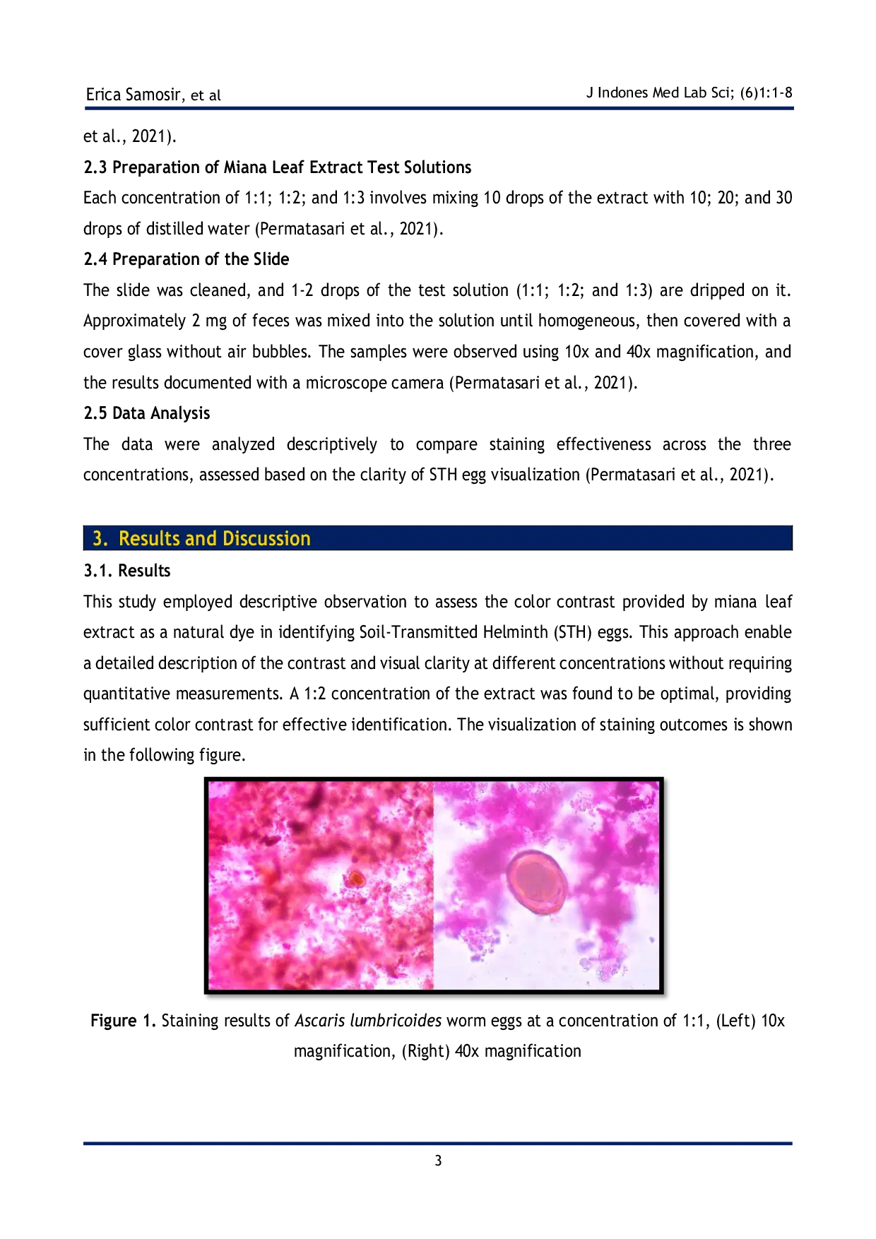 JURIS Effectiveness of Miana Leaves Plectranthus Scutellaroides as a Natural Dye in the Identification of Soil Transmitted Helminth STH Eggs