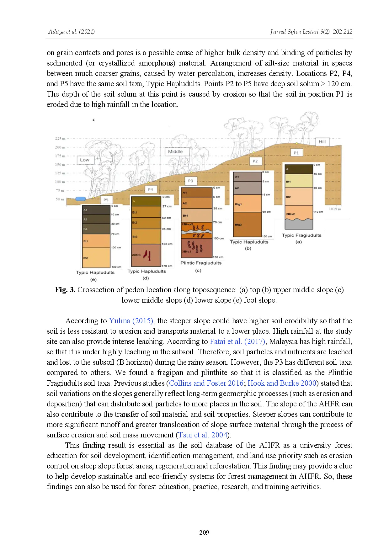 juris Toposequent Effect on Soil Morphology and Classification of Ultisol Soil in the Ayer Hitam Forest Reserve Peninsular Malaysia