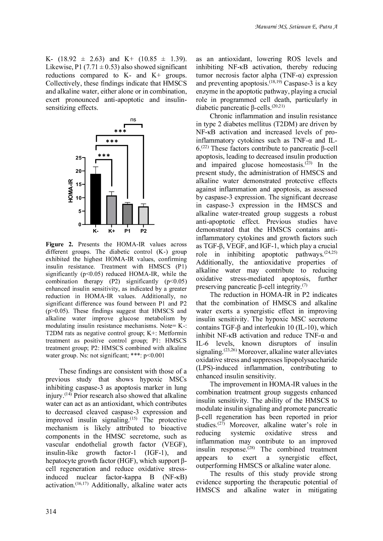 JURIS Hypoxic mesenchymal stem cell derived secretome and alkaline water synergistically reduce apoptosis and insulin resistance in type 2 diabetes mellitus rat model