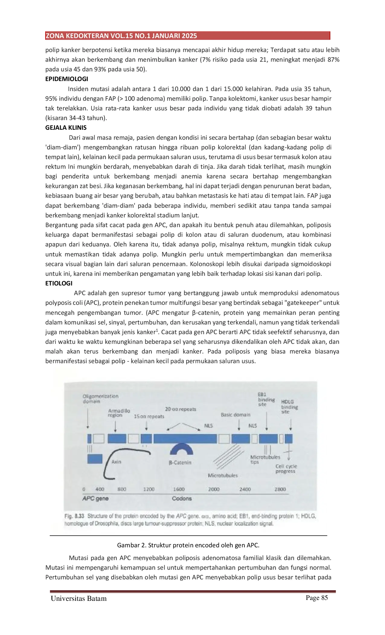 JURIS Familial Adenomatous Polyposis Leading to Adenocarcinoma A Case Analysis