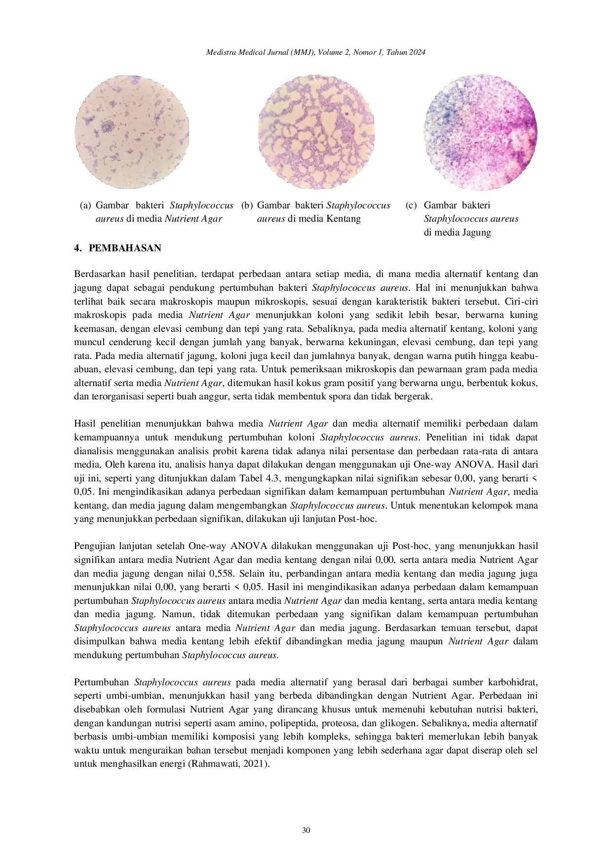 JURIS Comparison Of Potato Solanum tuerosum L and Corn Zea mays as Alternative Media To Nutrient Agar Media In The Groth of Staphylococcus aureus Bacteria