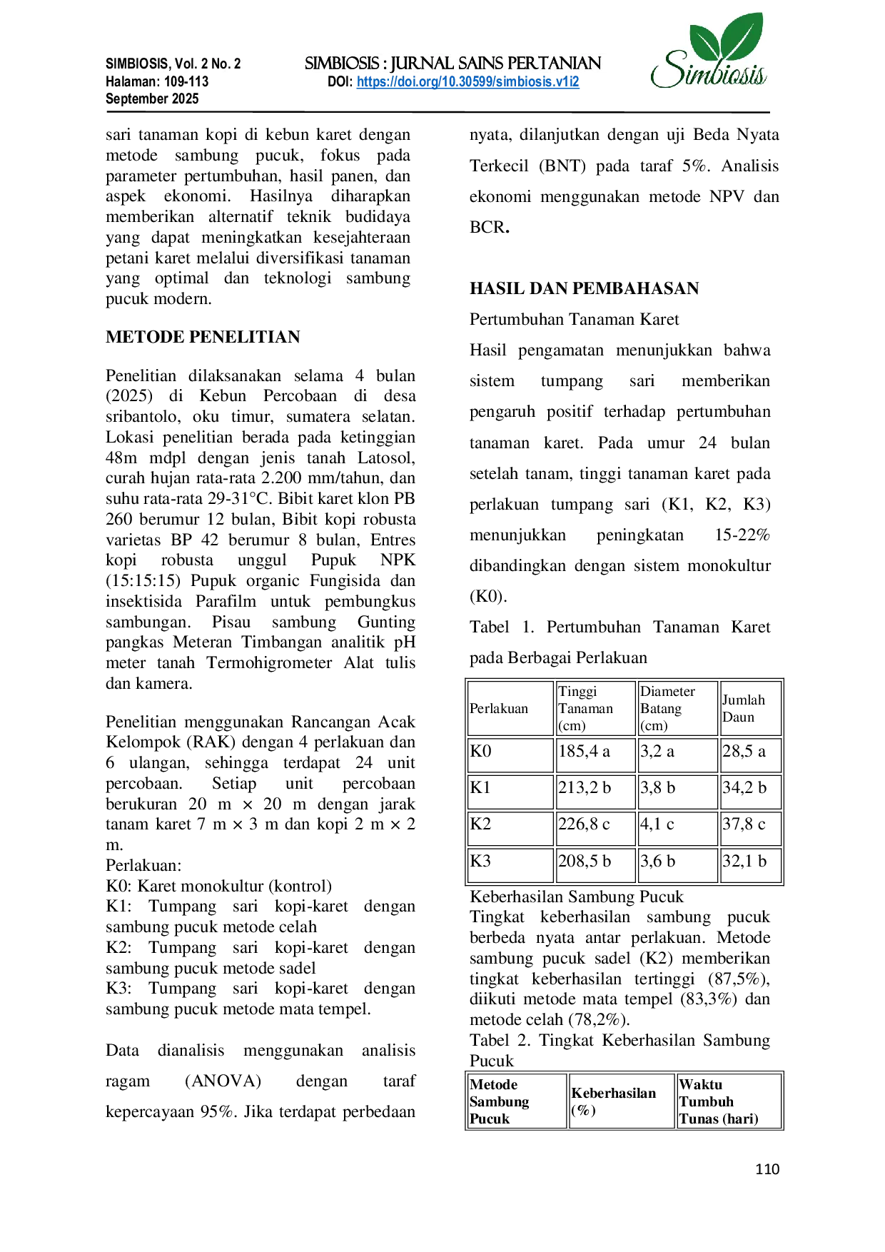 JURIS Efektivitas Tumpang Sari Tanaman Kopi Di Kebun Karet Dengan Metode Sambung Pucuk