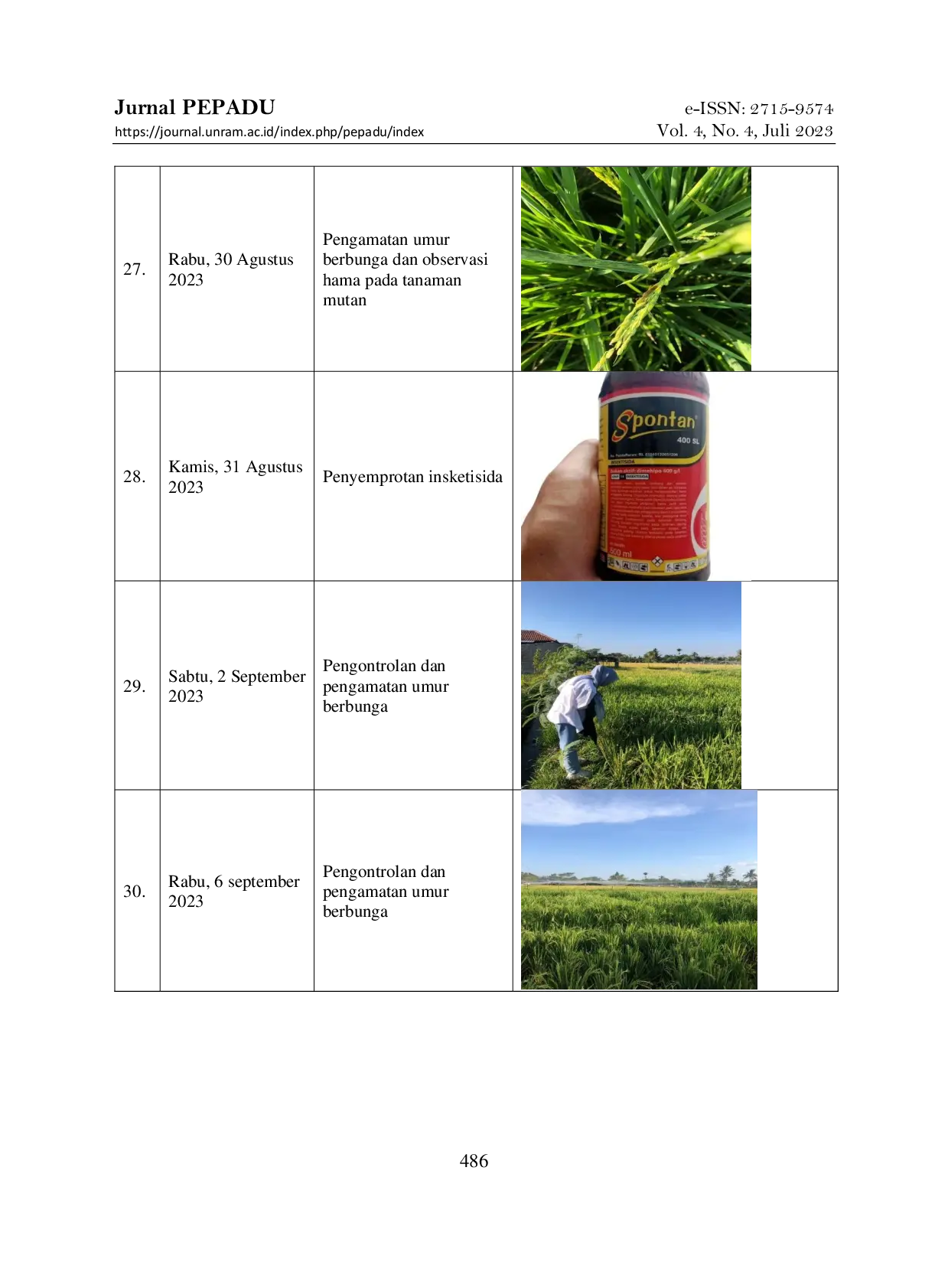 JURIS Pemasyarakatan Penggunaan Pupuk Organik Cair Poc Pada Tanaman Padi Di Kabupaten Lombok Barat