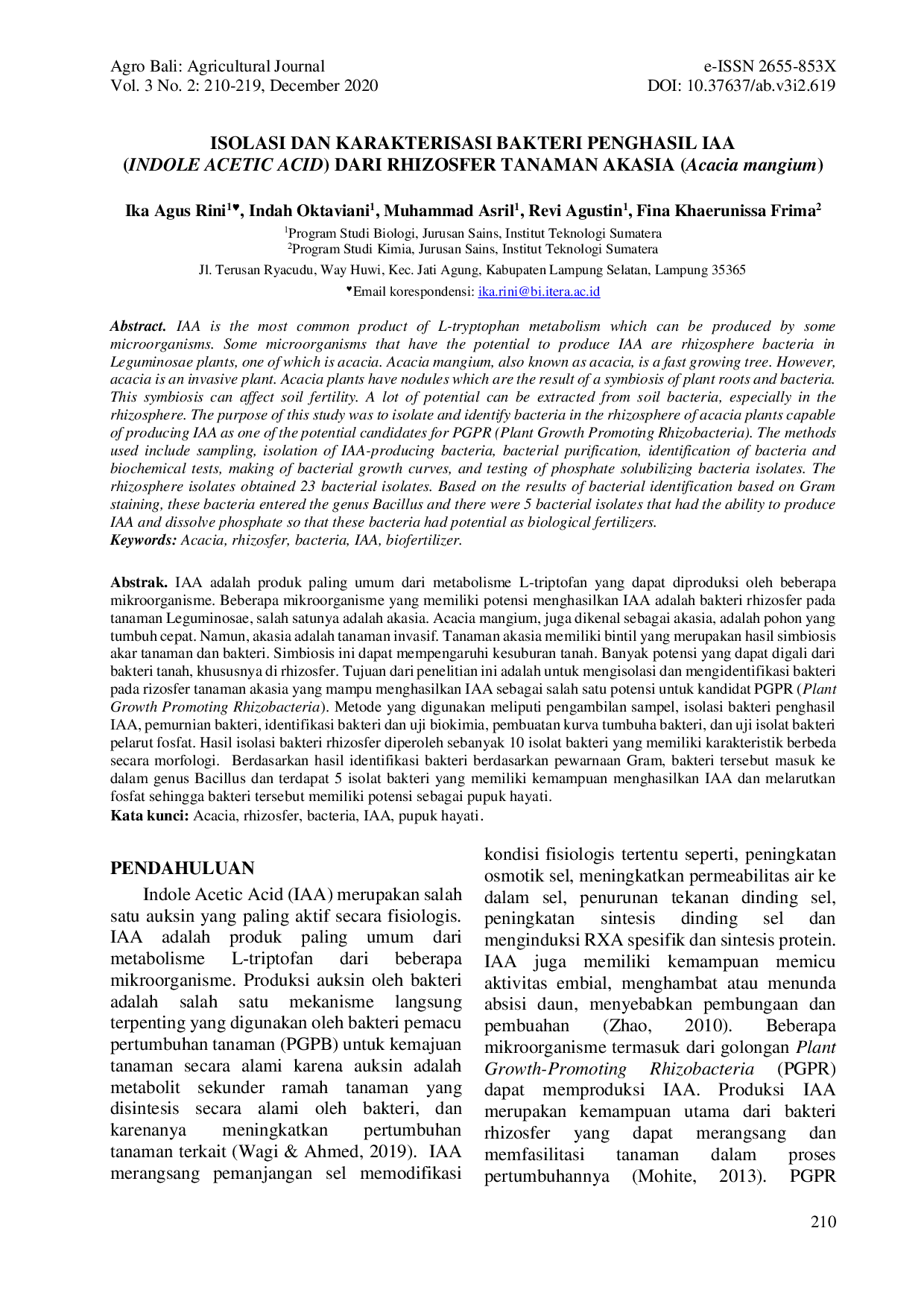 JURIS ISOLASI DAN KARAKTERISASI BAKTERI PENGHASIL IAA INDOLE ACETIC ACID DARI RHIZOSFER TANAMAN AKASIA Acacia mangium