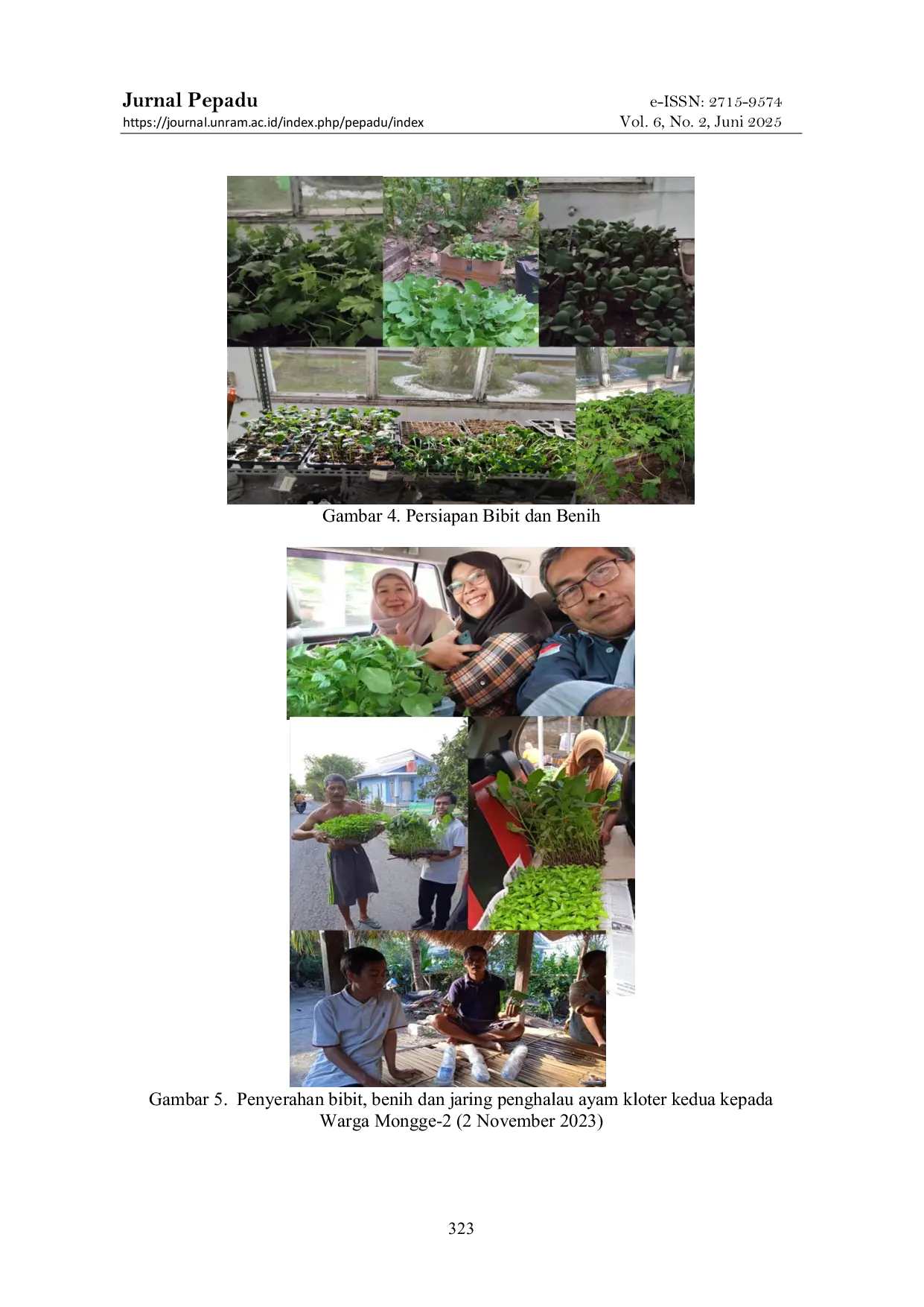 JURIS Penguatan Ketahanan Pangan Keluarga Melalui Budidaya Hortikultura Pekarangan Di Dusun Mongge 2