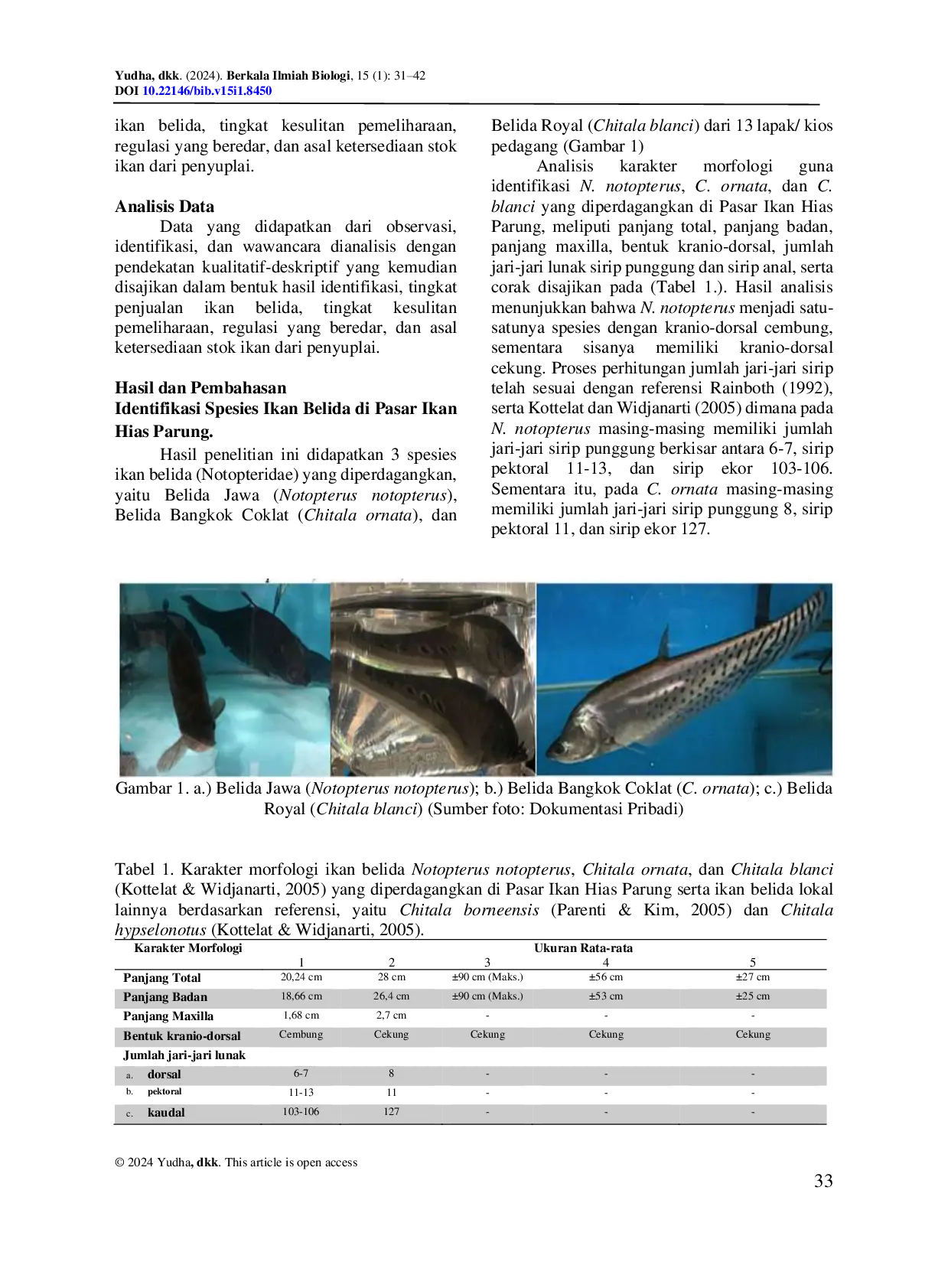 JURIS Studi Spesies Dan Status Konservasi Ikan Belida Famili Notopteridae Di Pasar Ikan Hias Parung Kabupaten Bogor