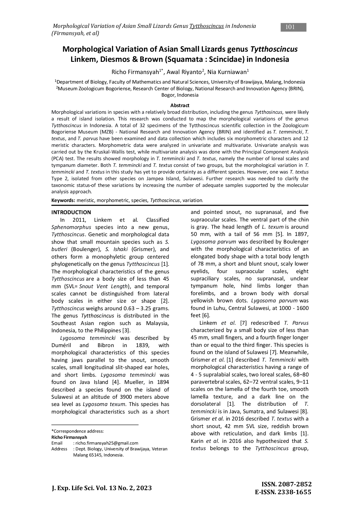 JURIS Morphological Variation of Asian Small Lizards genus Tytthoscincus Linkem Diesmos Brown Squamata Scincidae in Indonesia
