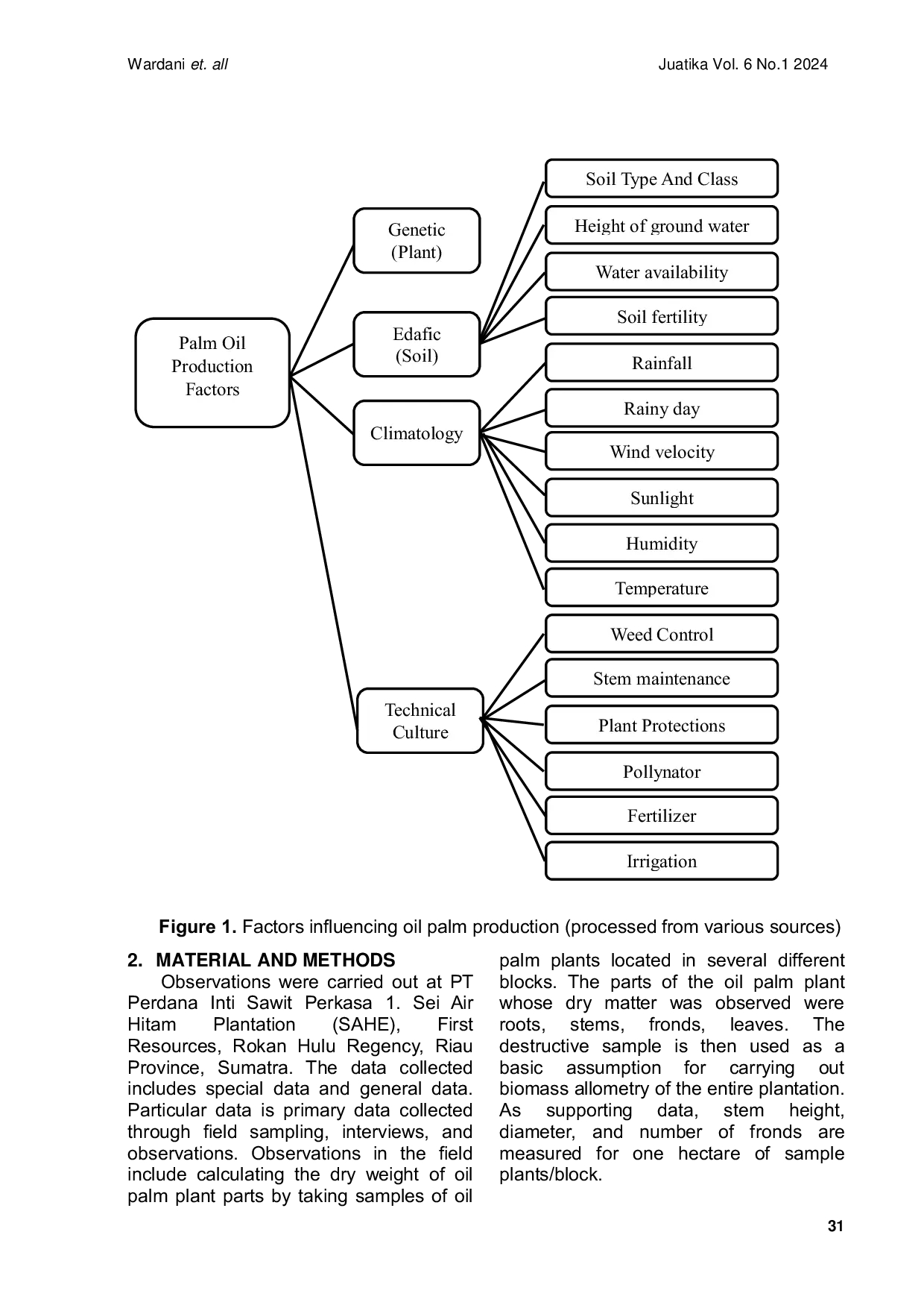 JURIS Oil Palm Biomass Production At Sei Air Hitam Plantation First Resources Rokan Hulu Riau