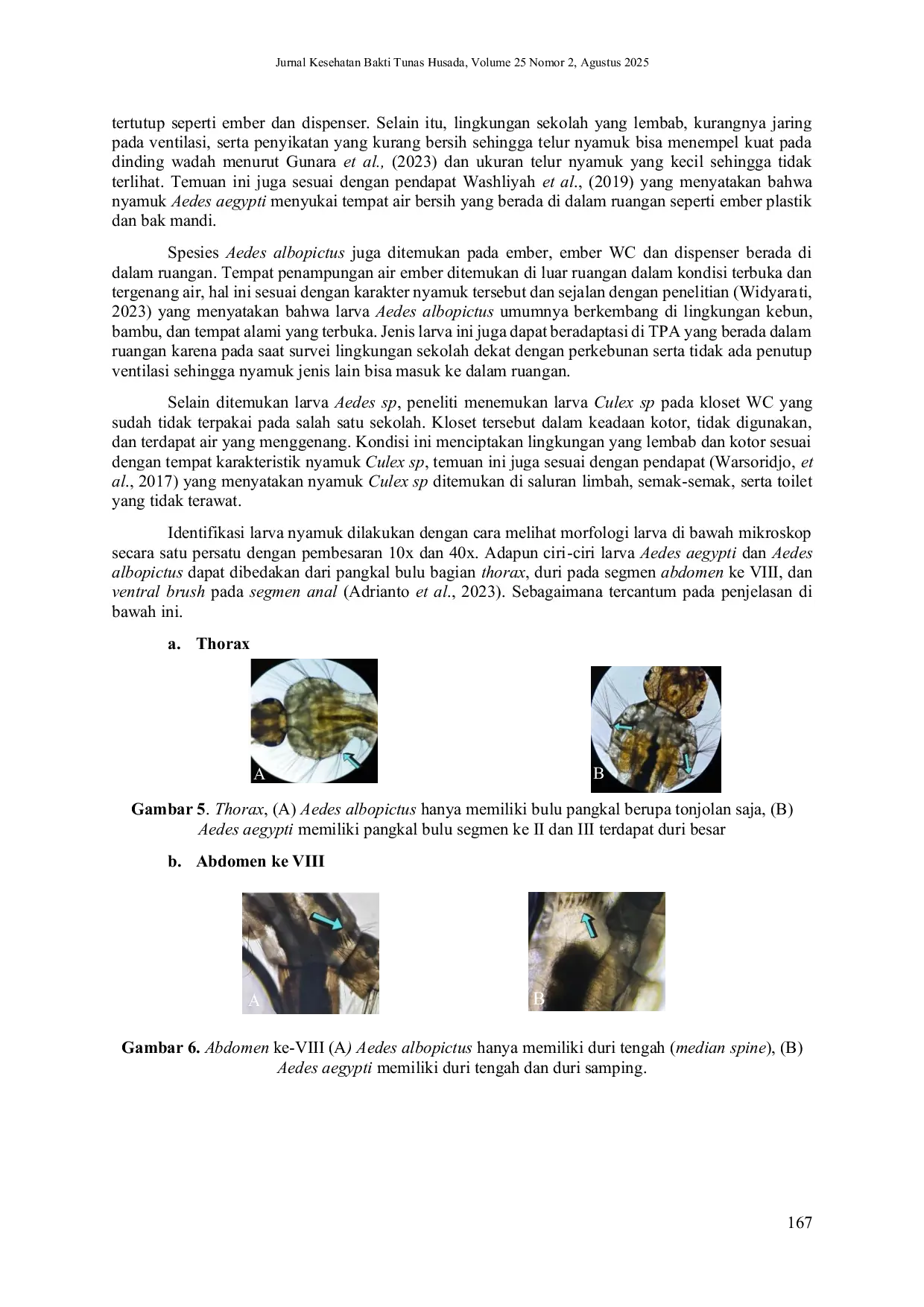 JURIS GAMBARAN KEBERADAAN DAN IDENTIFIKASI JENTIK NYAMUK Aedes sp DI SEKOLAH DASAR NEGERI KECAMATAN CIBEUREUM KOTA TASIKMALAYA