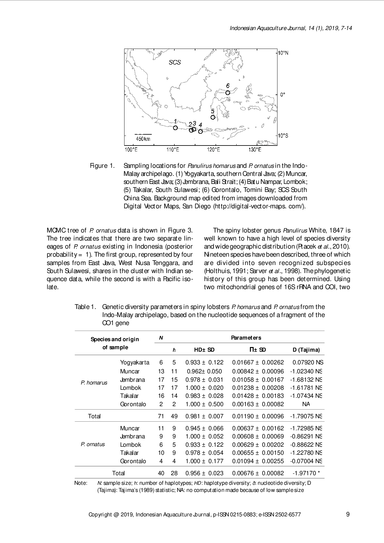 juris POPULATION GENETIC STRUCTURE OF SPINY LOBSTERS Panulirus homarus AND Panulirus ornatus IN THE INDIAN OCEAN CORAL TRIANGLE AND SOUTH CHINA SEA