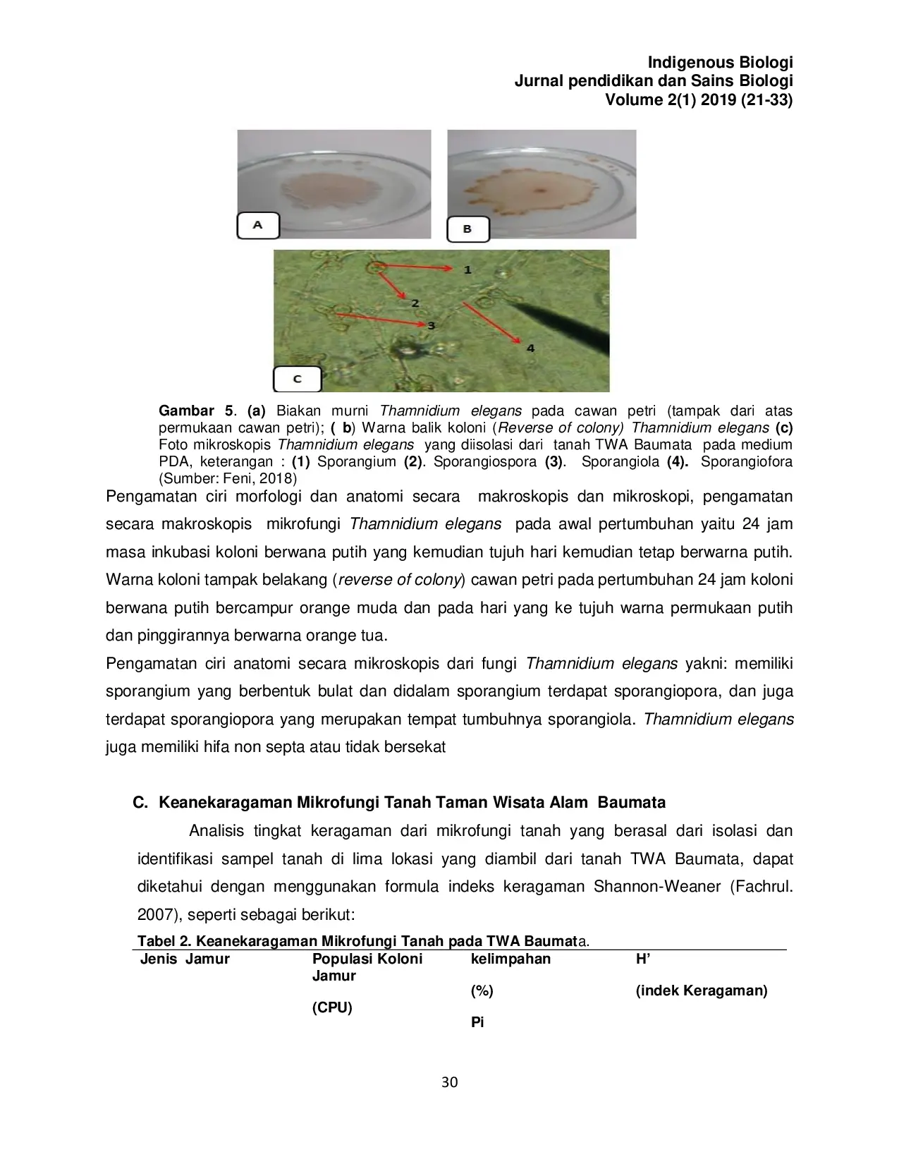 JURIS Keanekaragaman Mikrofungi Tanah di Taman Wisata Alam Baumata