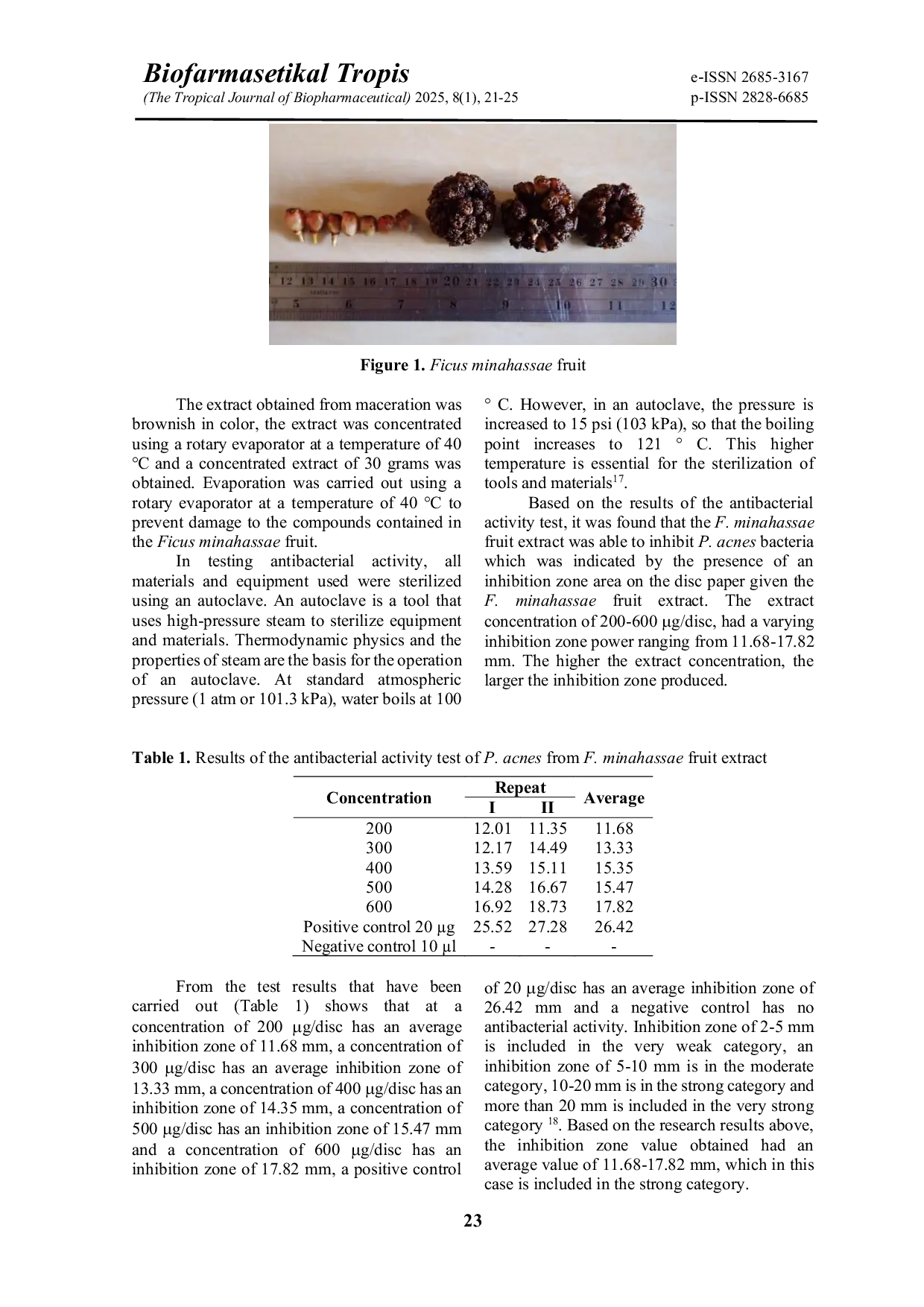 JURIS Evaluation of Ficus minahassae Fruit Extract as a Natural Agent against Propionibacterium acnes