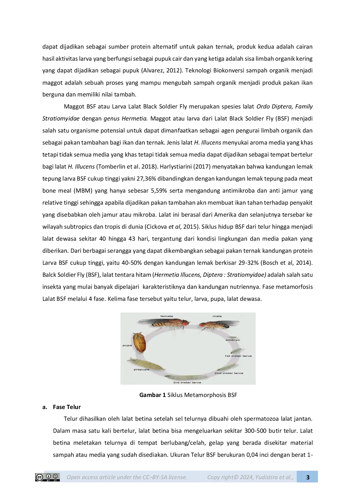 JURIS Pelatihan Budidaya Maggot BSF di Desa Anjani Kecamatan Suralaga Kabupaten Lombok Timur