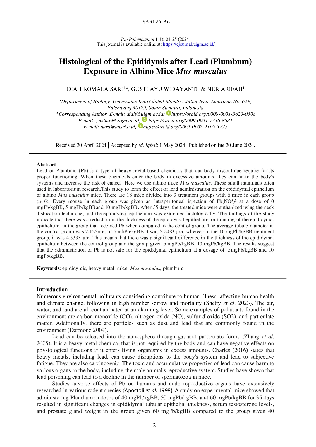JURIS Histological of the Epididymis after Lead Plumbum Exposure in Albino Mice Mus musculus