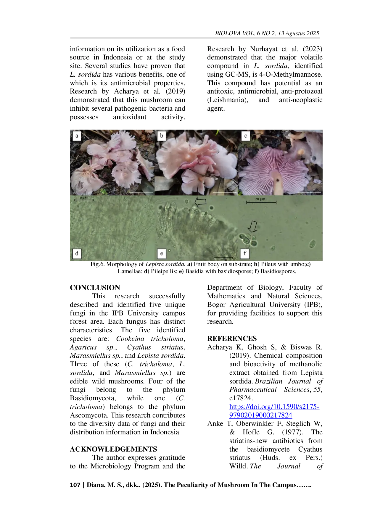 JURIS The Peculiarity of Mushroom In The Campus Forest of IPB University