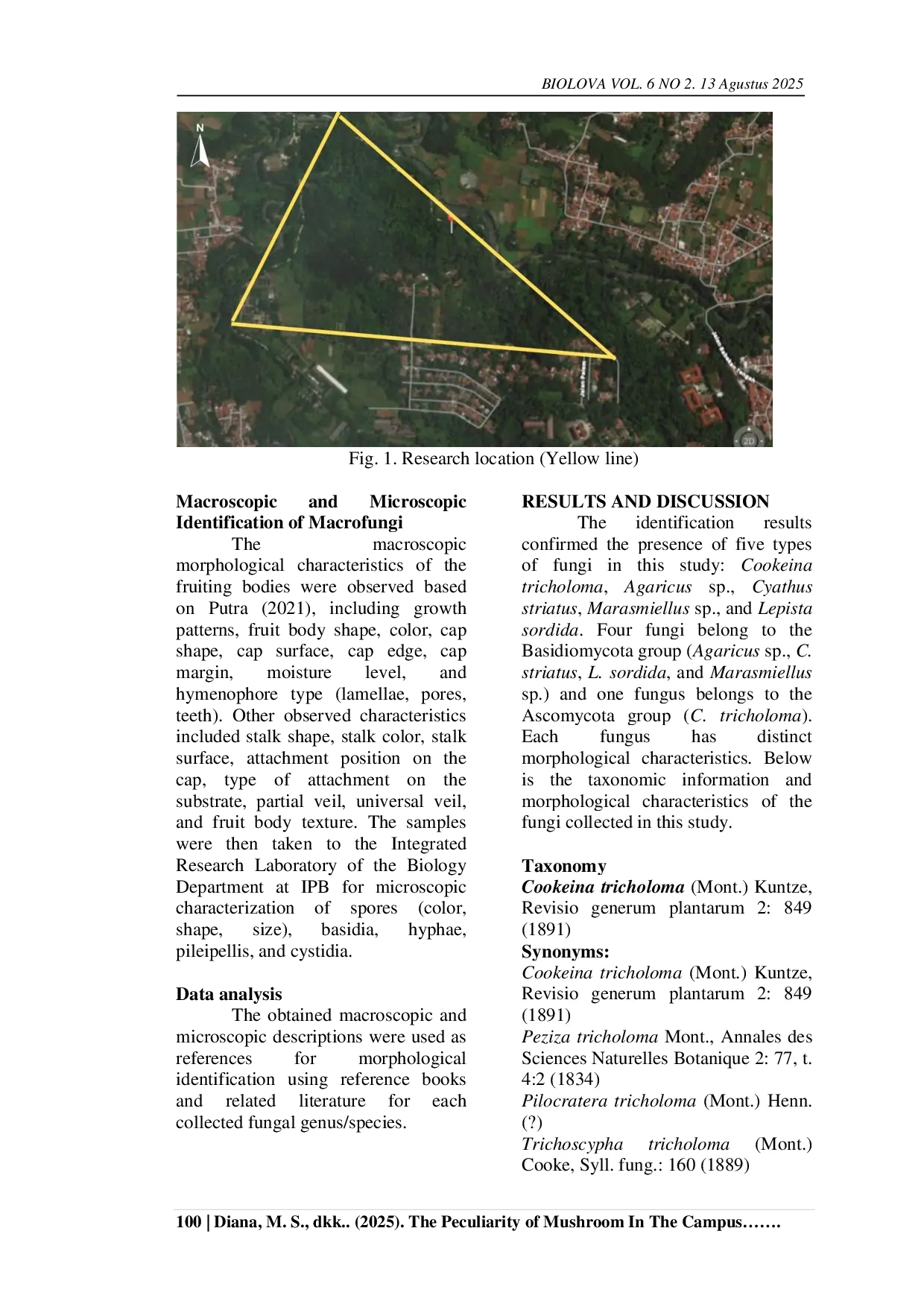 JURIS The Peculiarity of Mushroom In The Campus Forest of IPB University