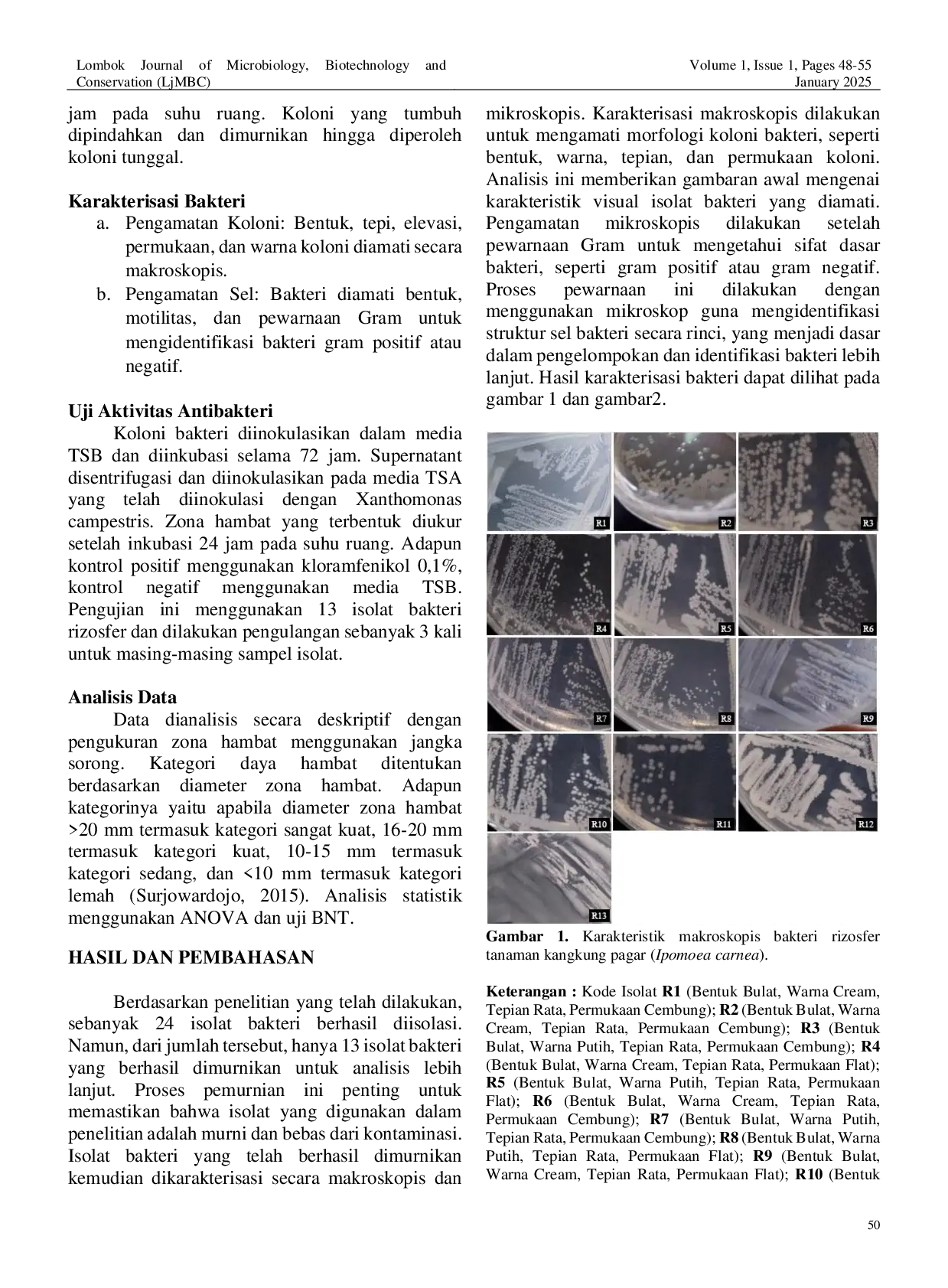 JURIS Potensi Anti Xanthomonas dari Bakteri Rizosfer Tanaman Kankung Pagar Ipomoea carnea