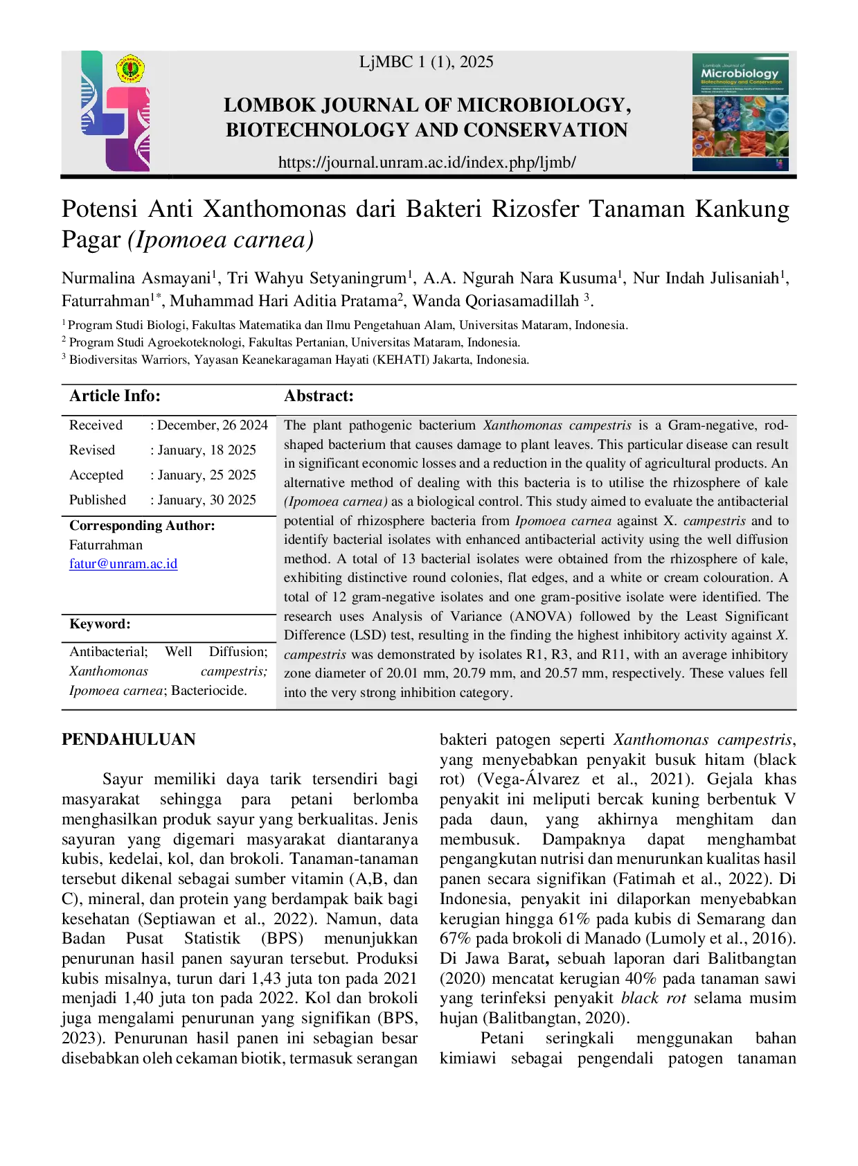 JURIS Potensi Anti Xanthomonas dari Bakteri Rizosfer Tanaman Kankung Pagar Ipomoea carnea
