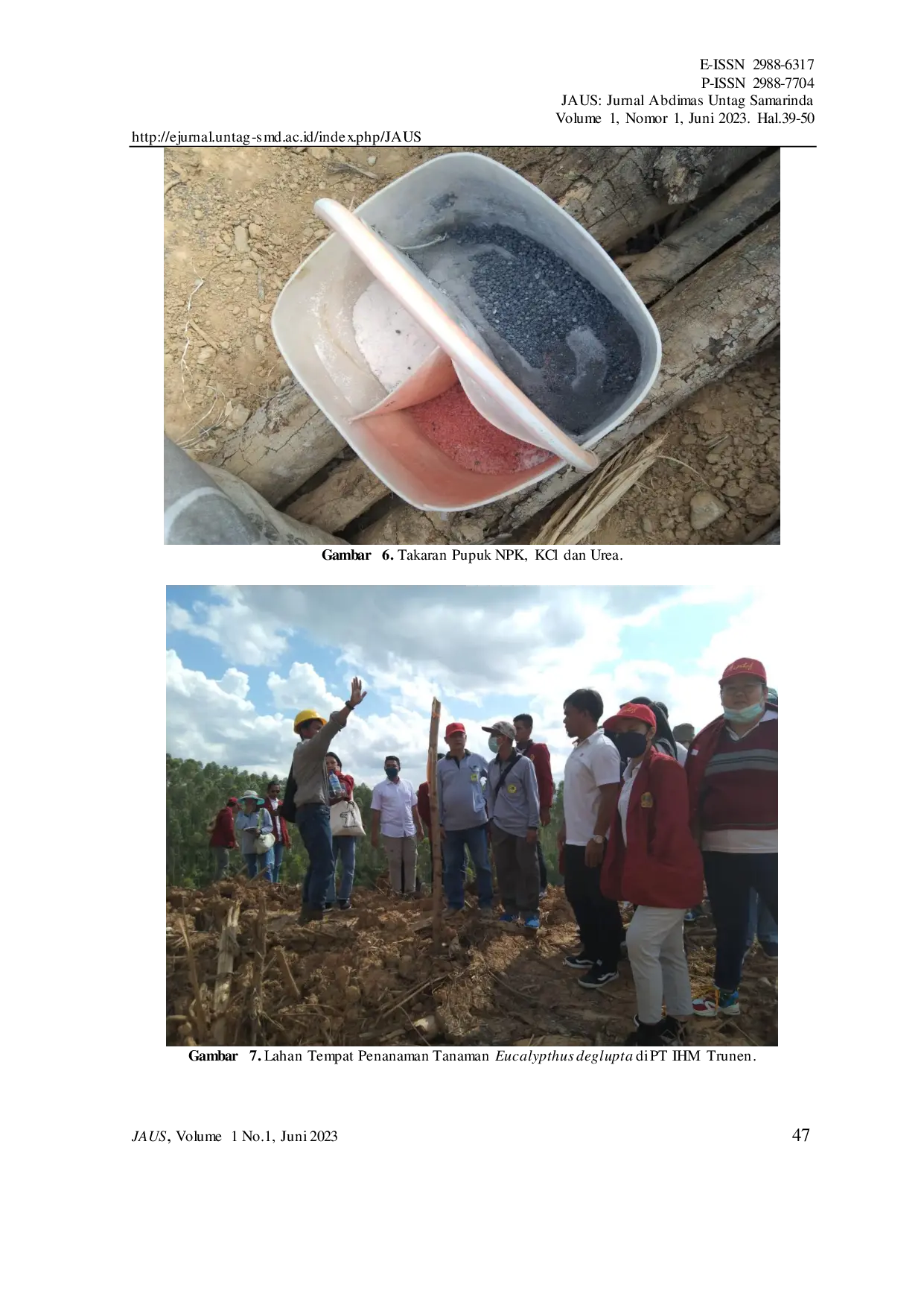 JURIS PENANAMAN Eucalypthus deglupta DENGAN PENERAPAN MANAJEMEN DAN TEKNIK SILVIKULTUR INTENSIVE DI PT ITCI HUTANI MANUNGGAL DI DESA BUMI HARAPAN PANAJAM PASER UTARA