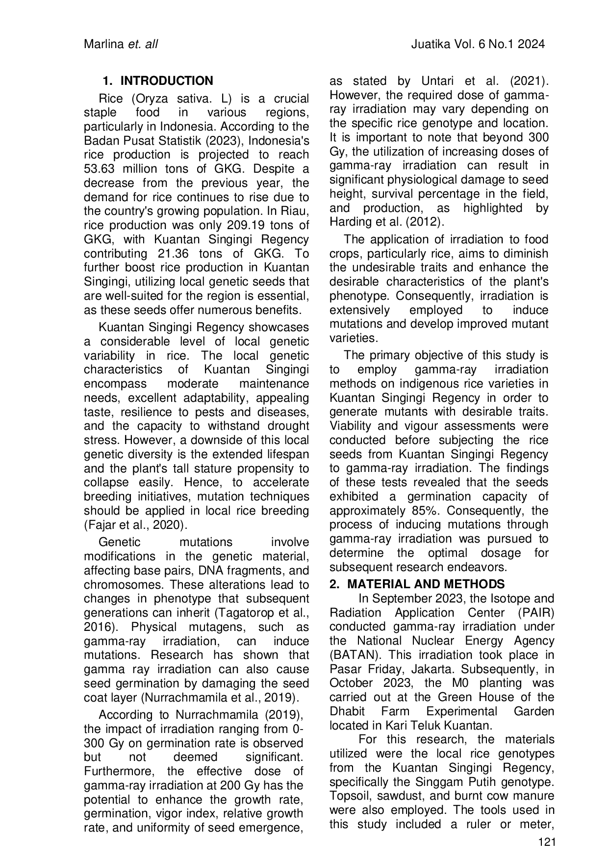 JURIS Orientation Of Effective Irradiation Dosage In Local Genetic Rice Improvement Oryza sativa L Kuantan Singingi District Using Induced Mutation